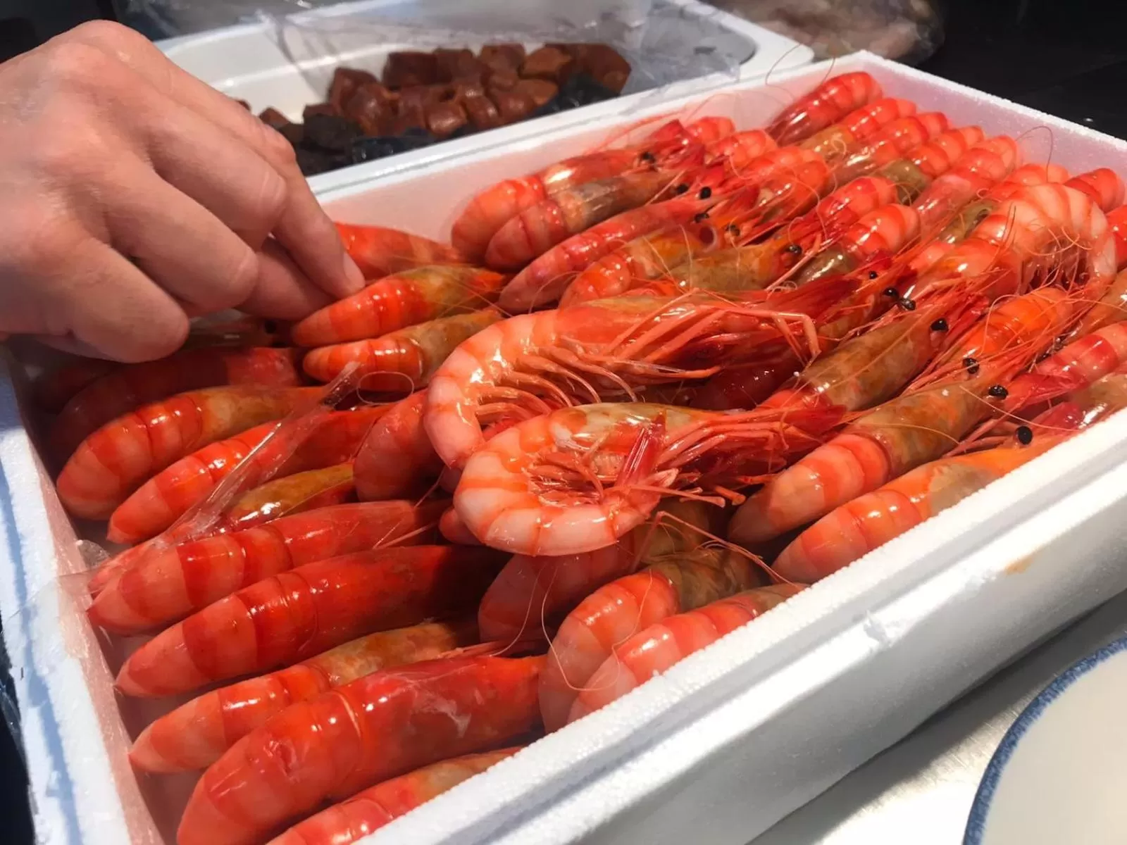 Food in Hotel Neptuno Playa & Spa