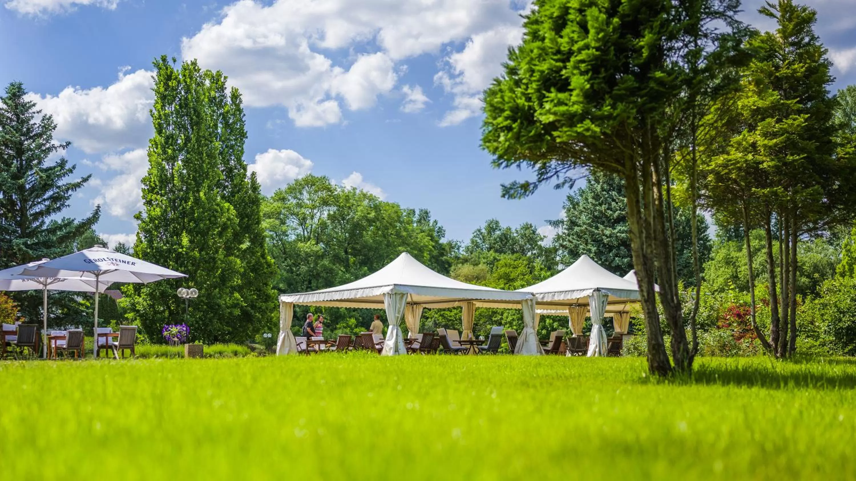 Balcony/Terrace in Seepark Hotel am Wandlitzsee