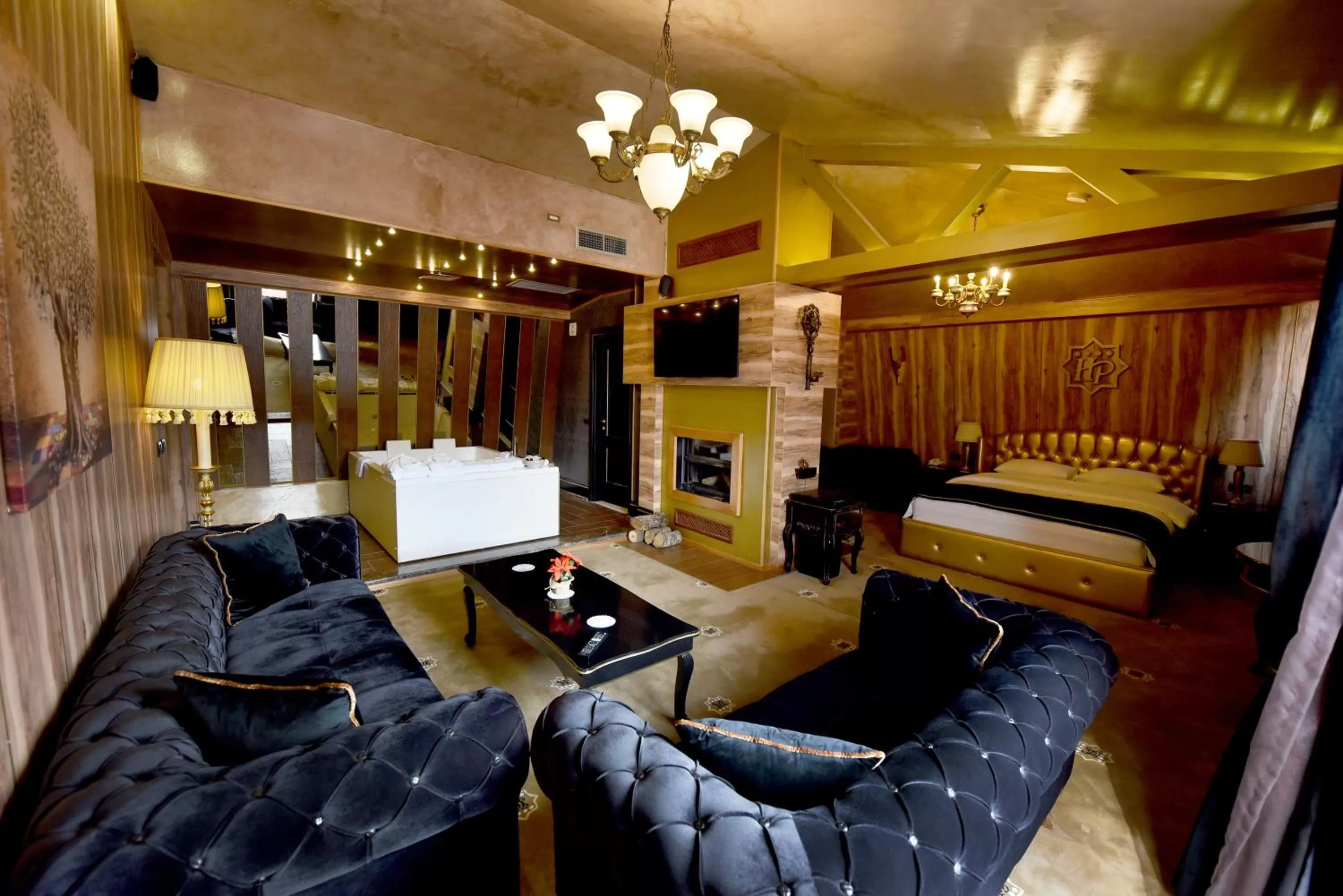 Photo of the whole room in Hotel Hymeti's Palace