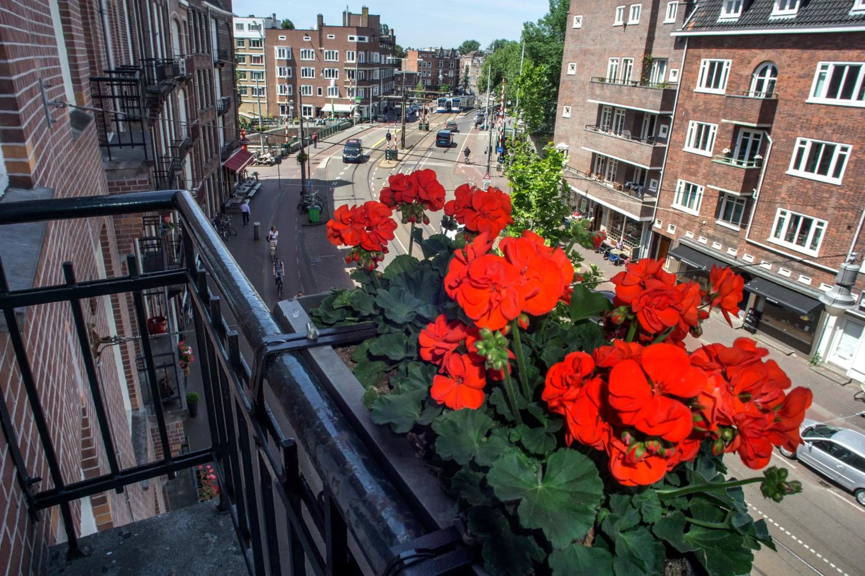 Day in Hotel Larende