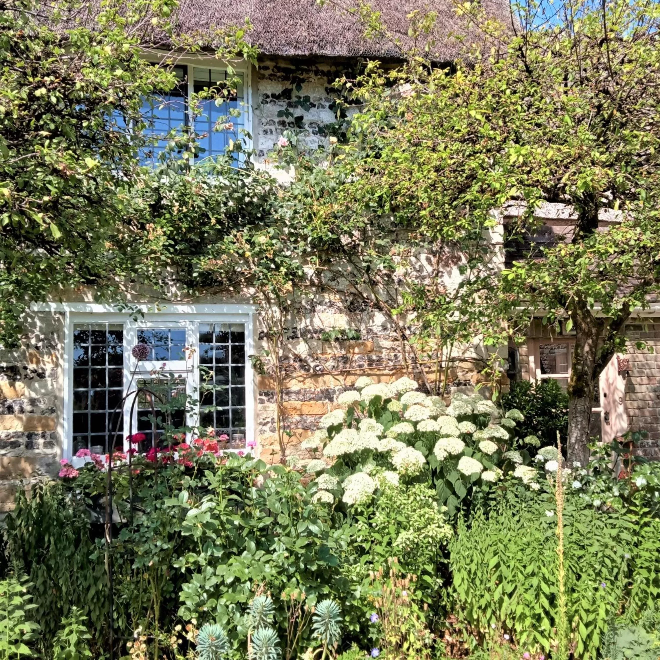 Property building in Tudor Cottage B&B Frampton