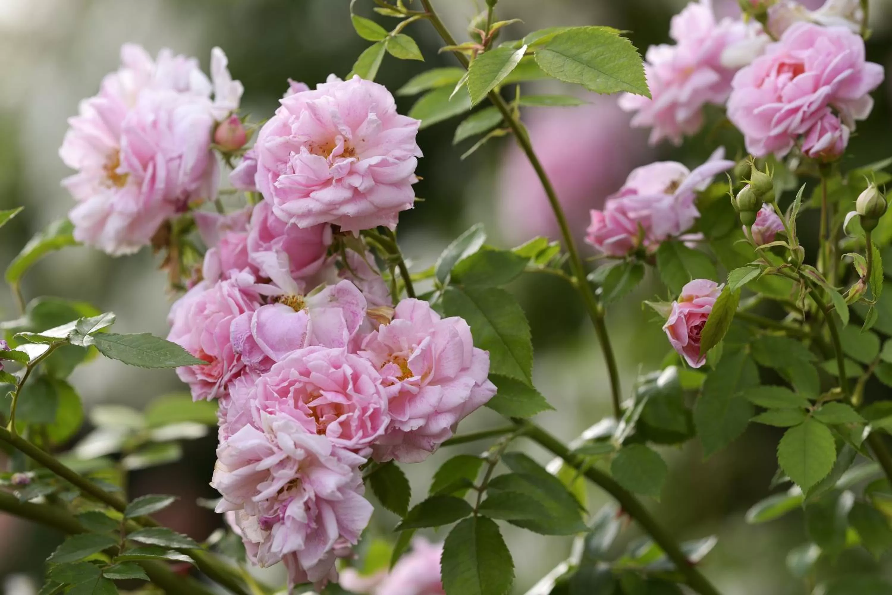 Decorative detail in Byblos Art Hotel Villa Amistà
