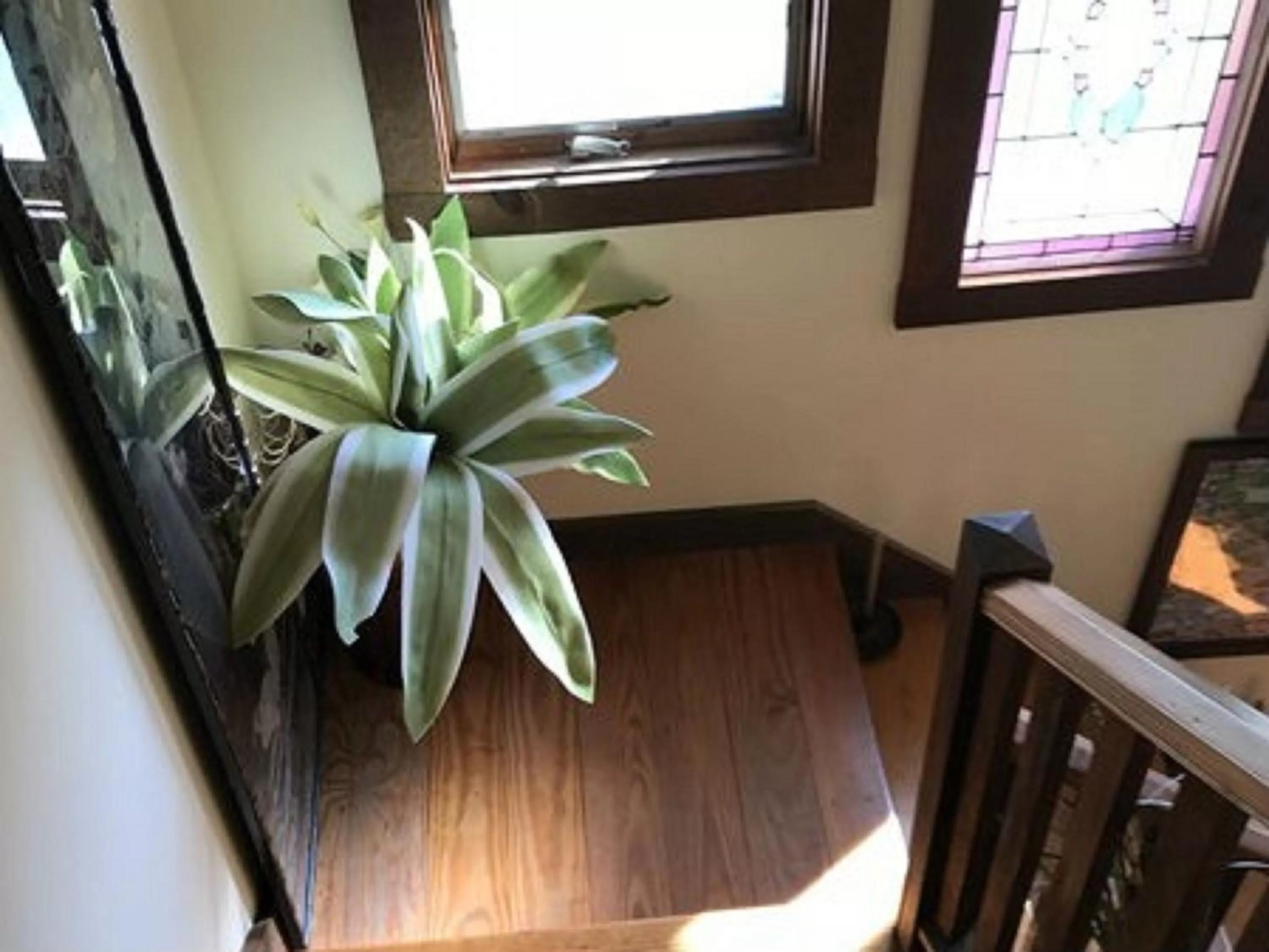 Lobby or reception in Gardenview Bed and Breakfast