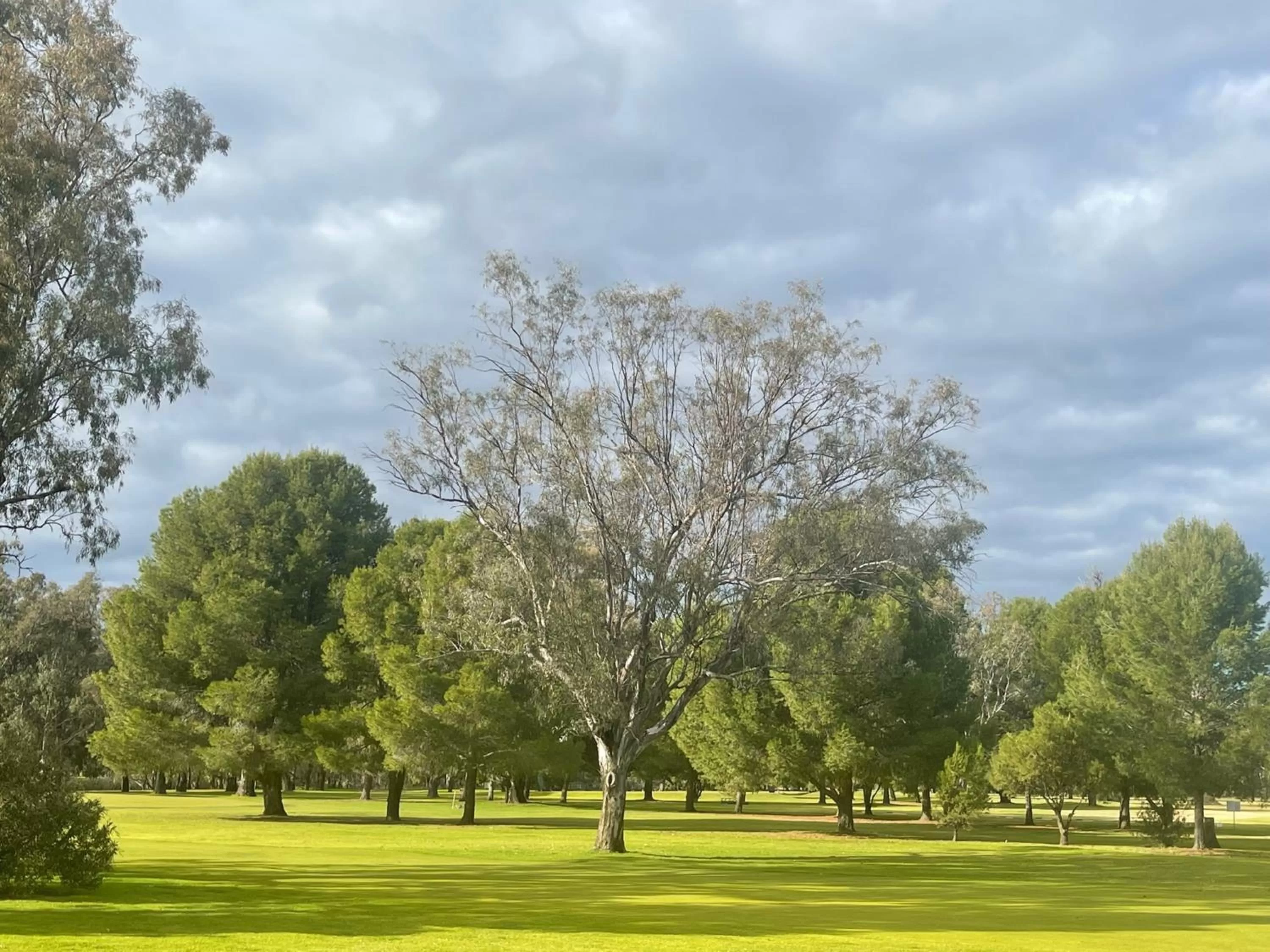 Golfcourse in Town & Country Motor Inn