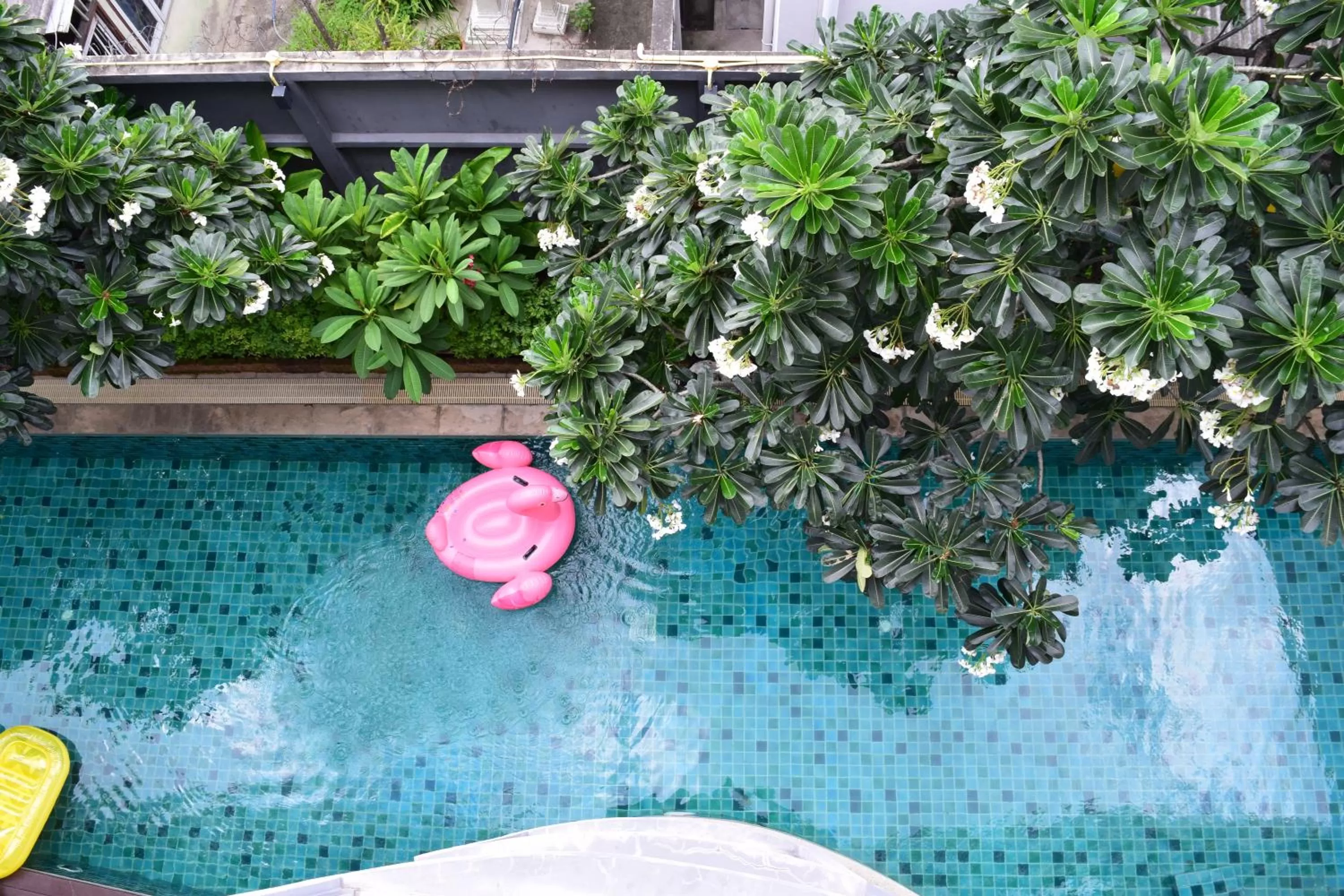 Swimming pool in Peace Land Khaosan