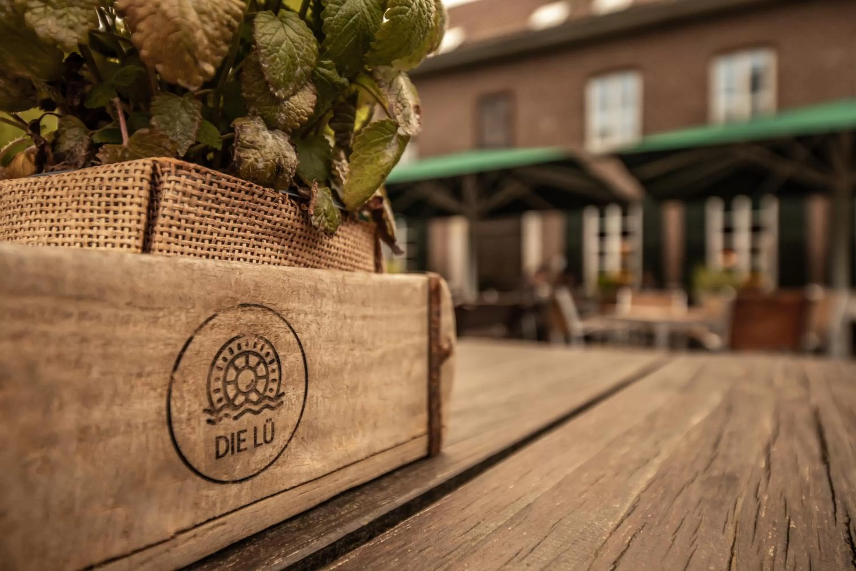 Property building in Die LÜ - Lüttelforster Mühle