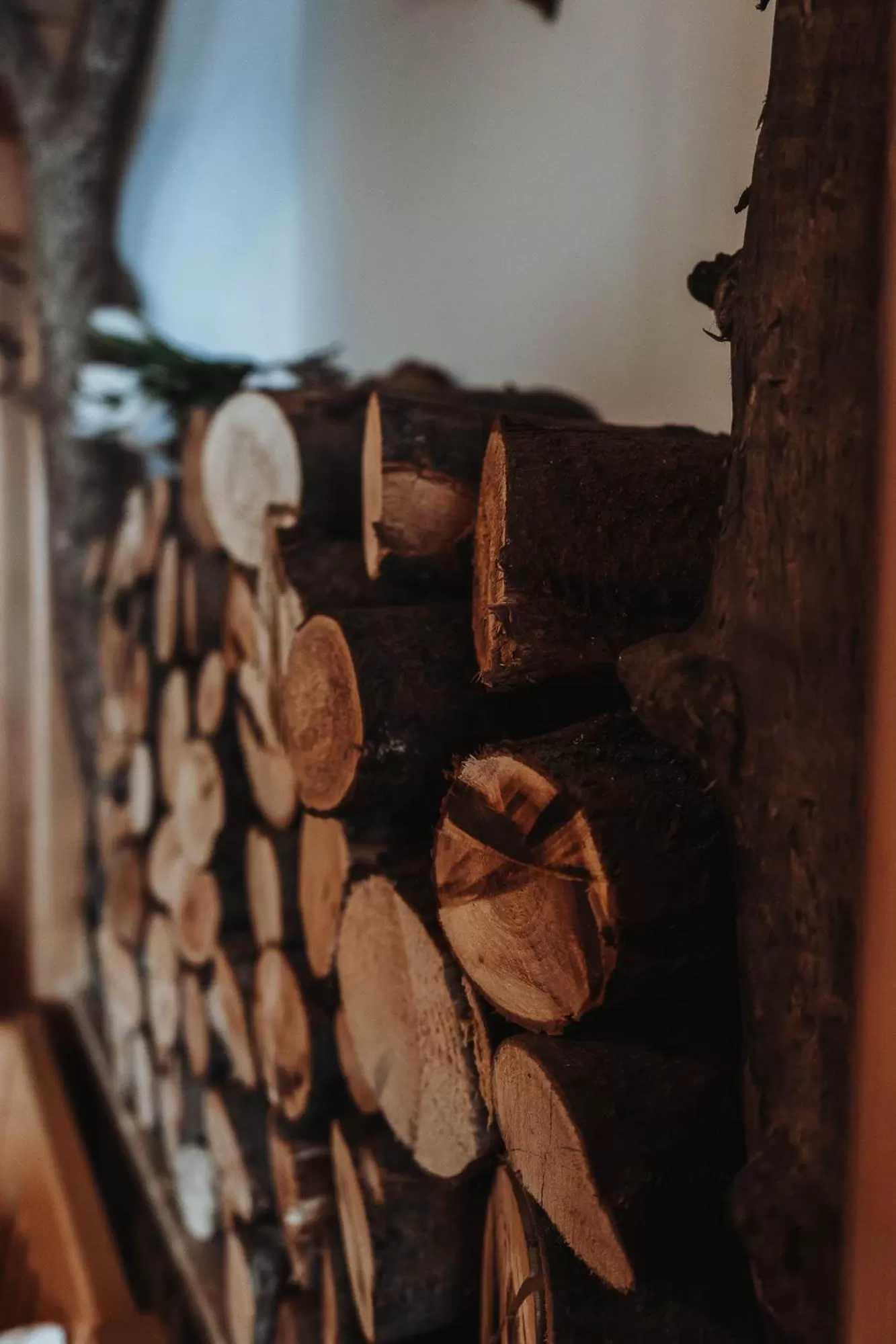 Area and facilities in Berggasthof Hochpröller