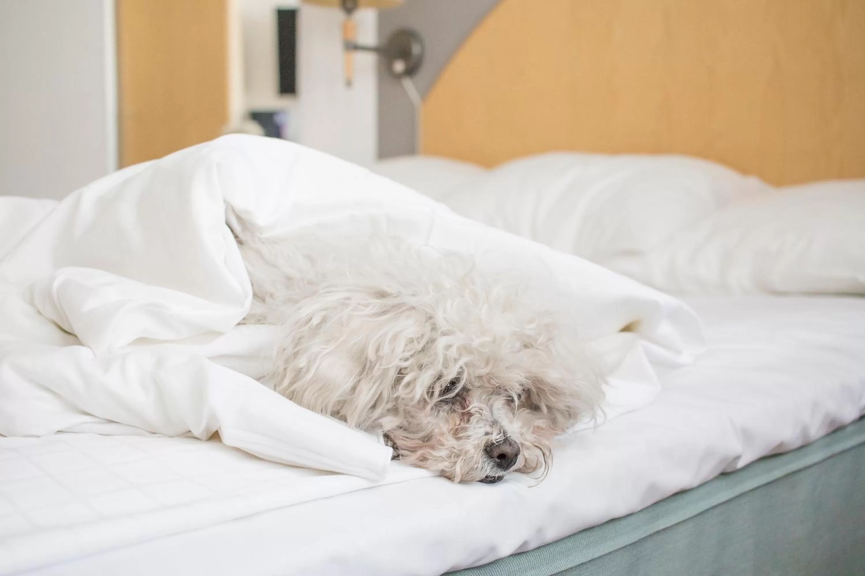 Bed in Best Western Eurostop Orebro