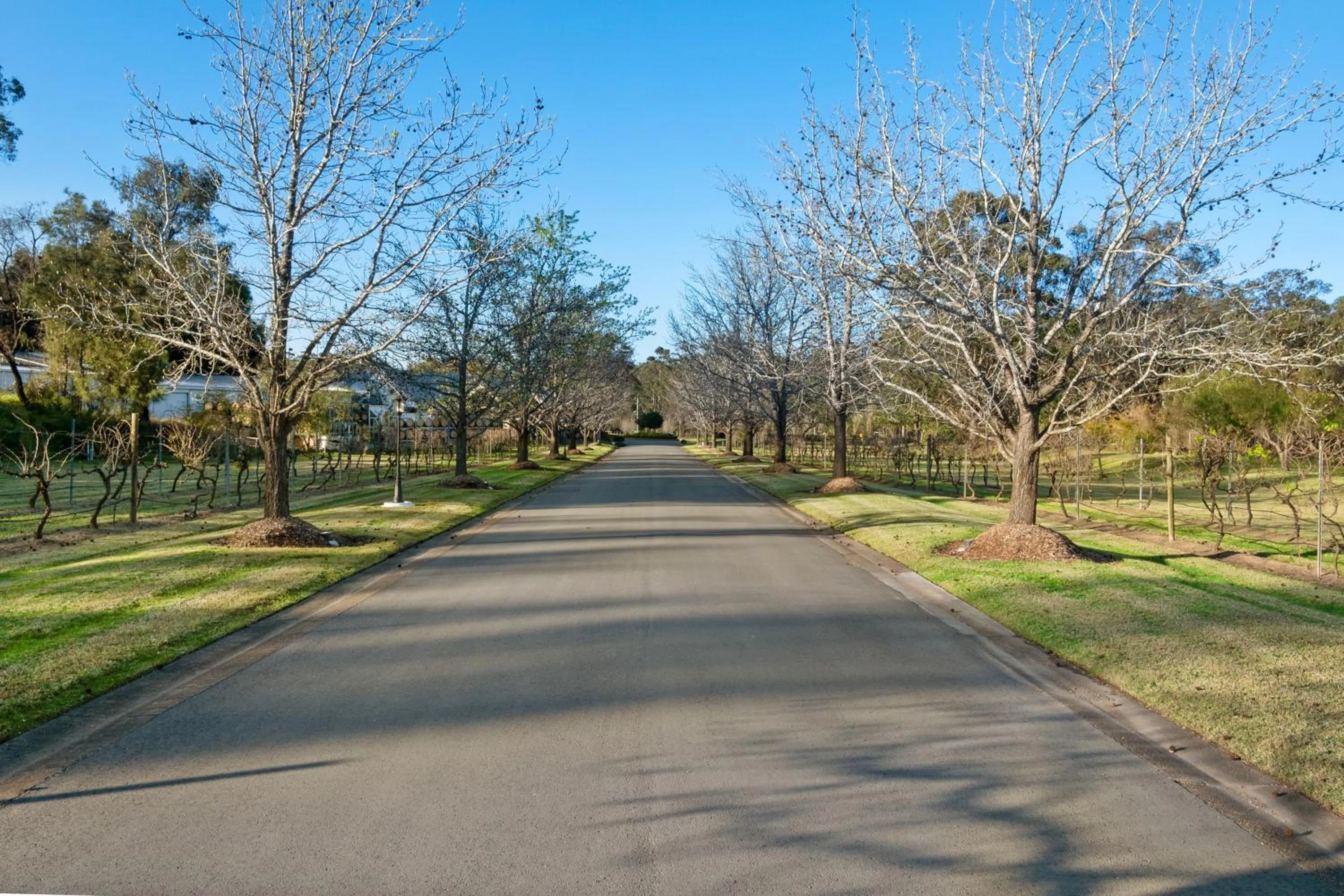 Garden in The Convent Hunter Valley Hotel