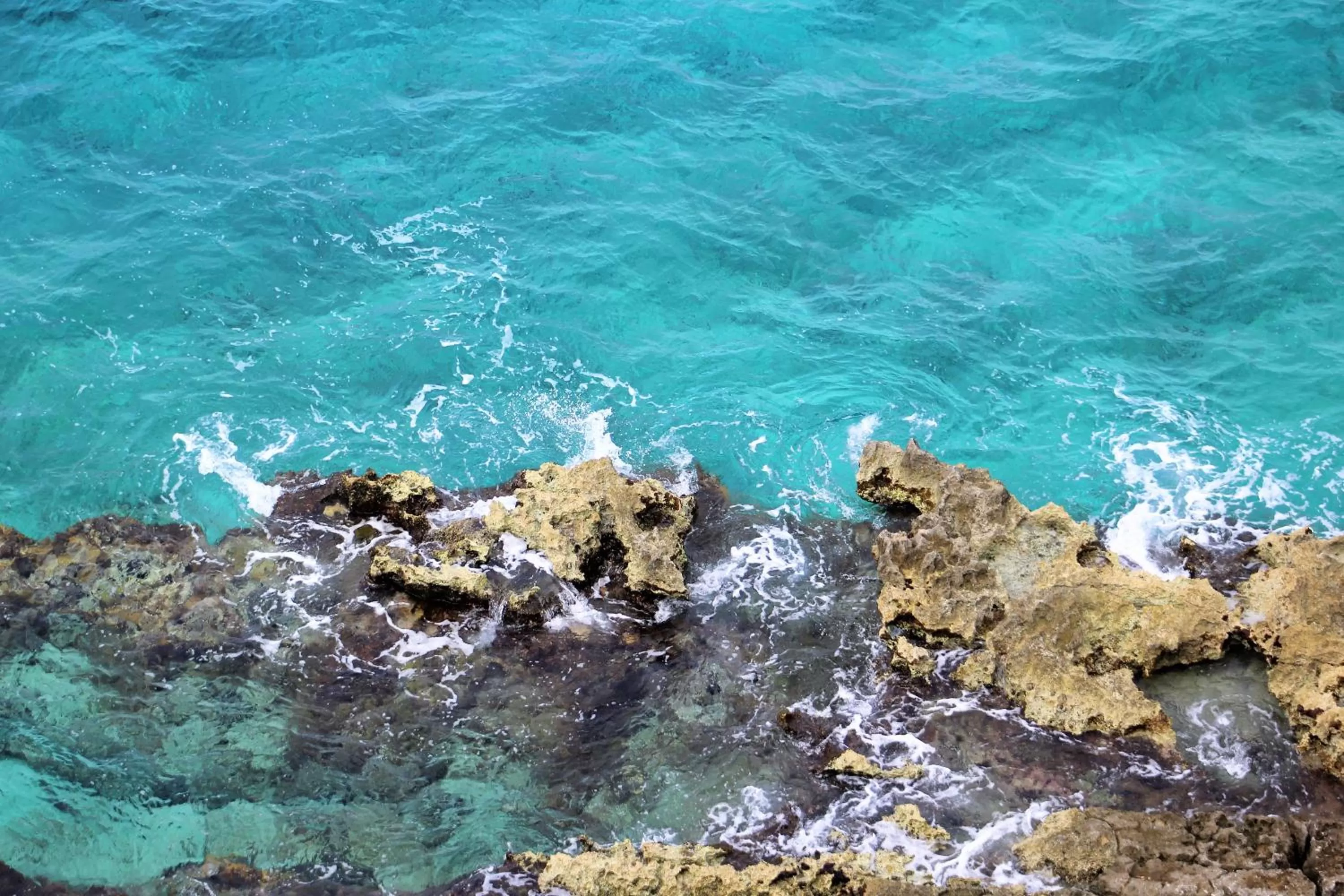 Snorkeling in Coral Princess Hotel & Dive Resort