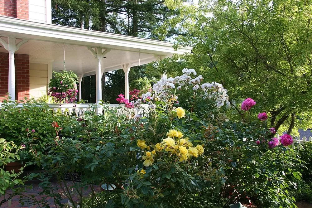 Day in Inn at Occidental