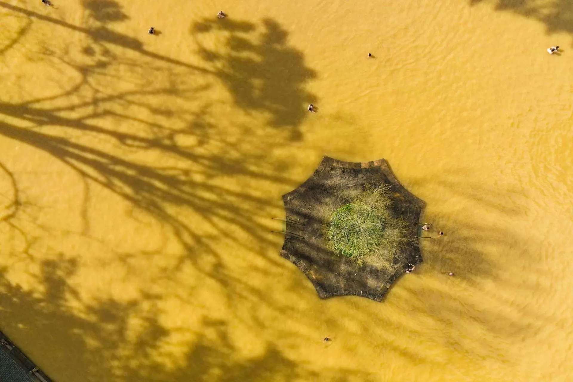 Activities in Terra Nostra Garden Hotel