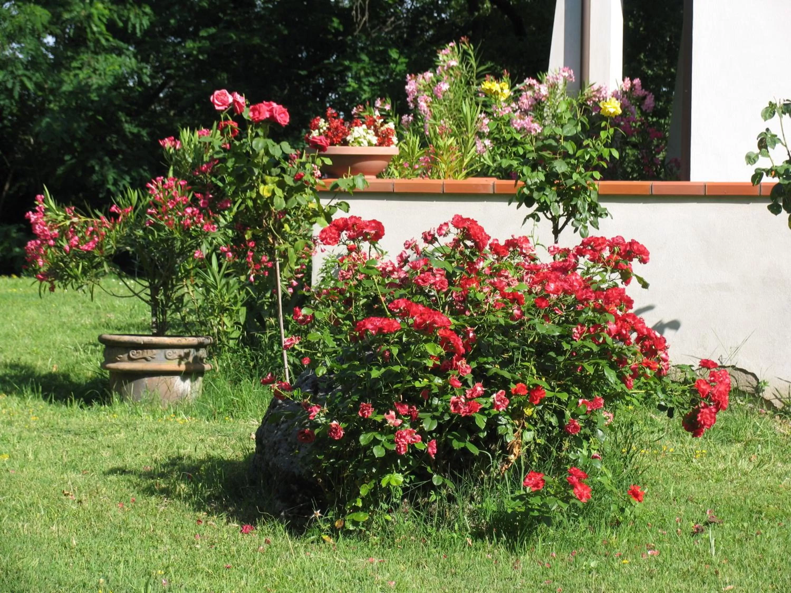 Garden in La Casa Dei Boschi