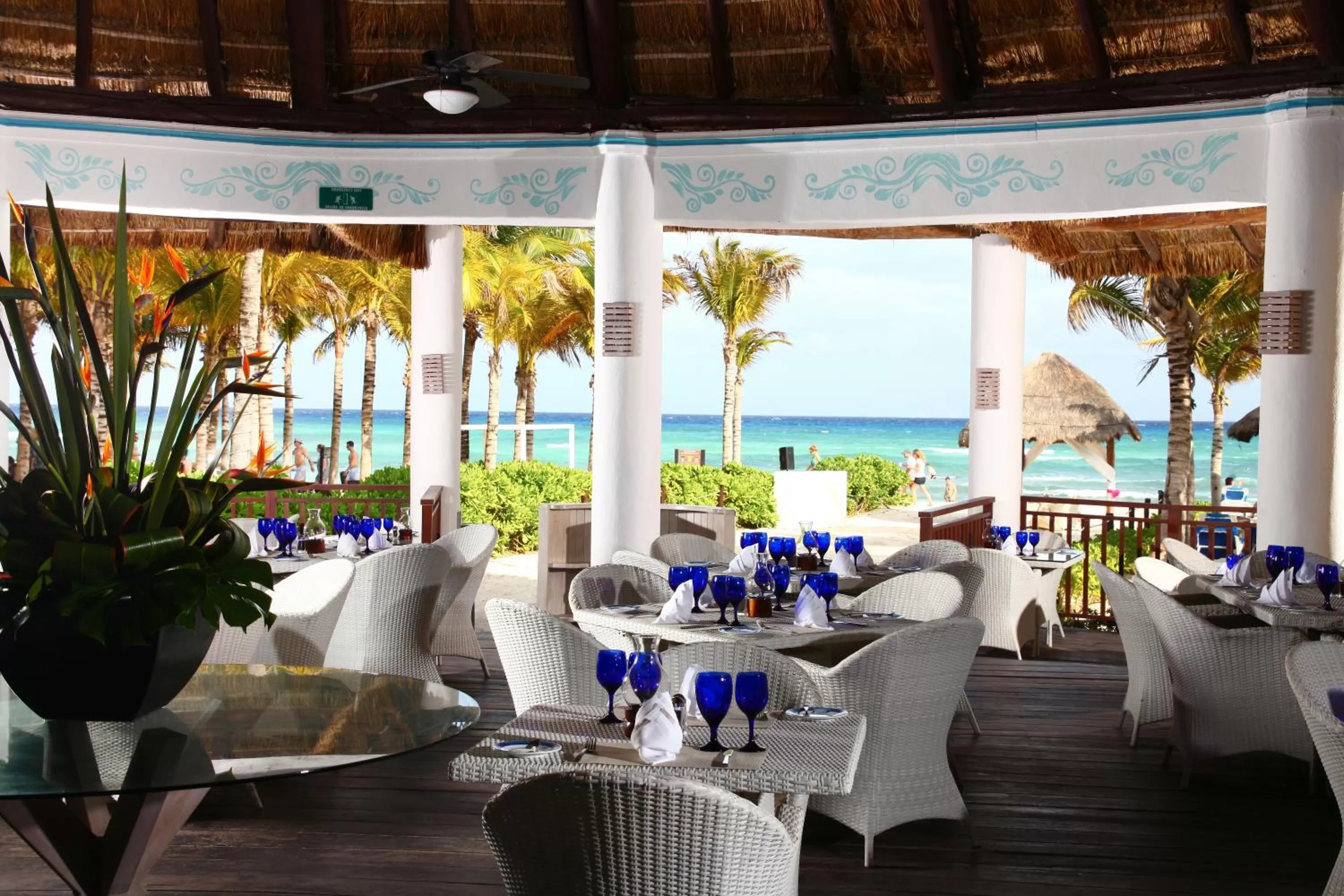 Restaurant/places to eat in Select Club at Sandos Caracol All Inclusive - Adults Only Area