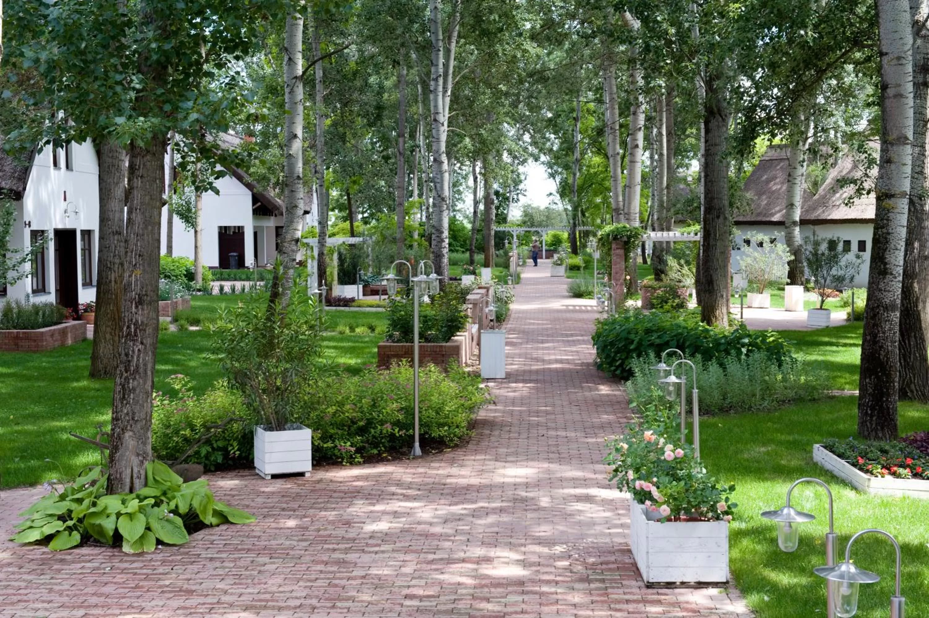 Day in Varga Tanya Hotel