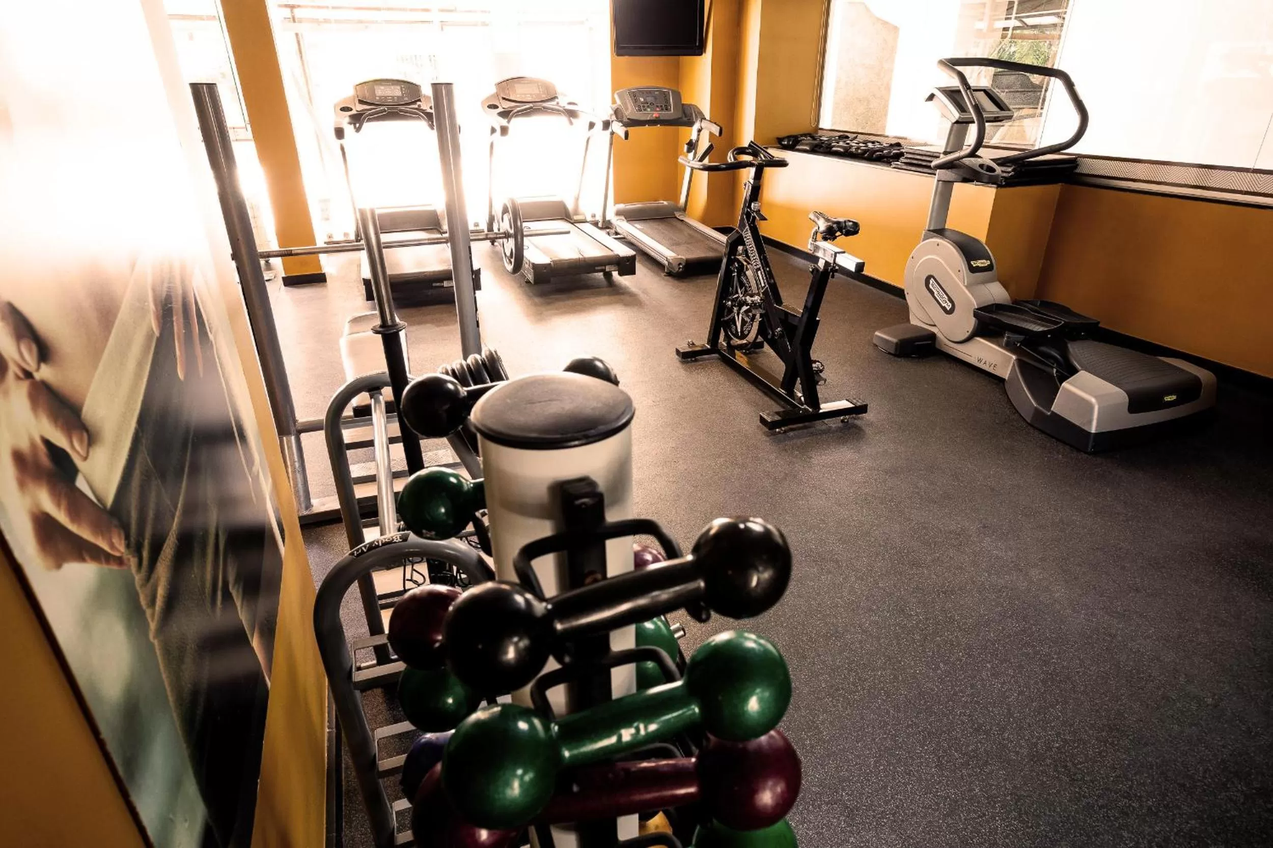 Fitness centre/facilities in Kubitschek Plaza Hotel