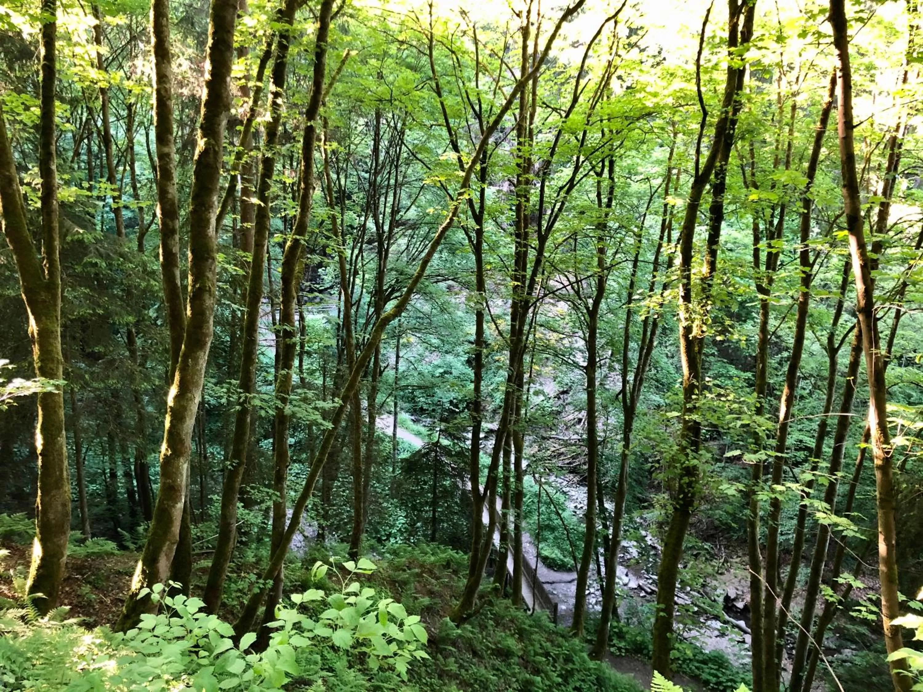 Berghotel Natura Bed & Breakfast