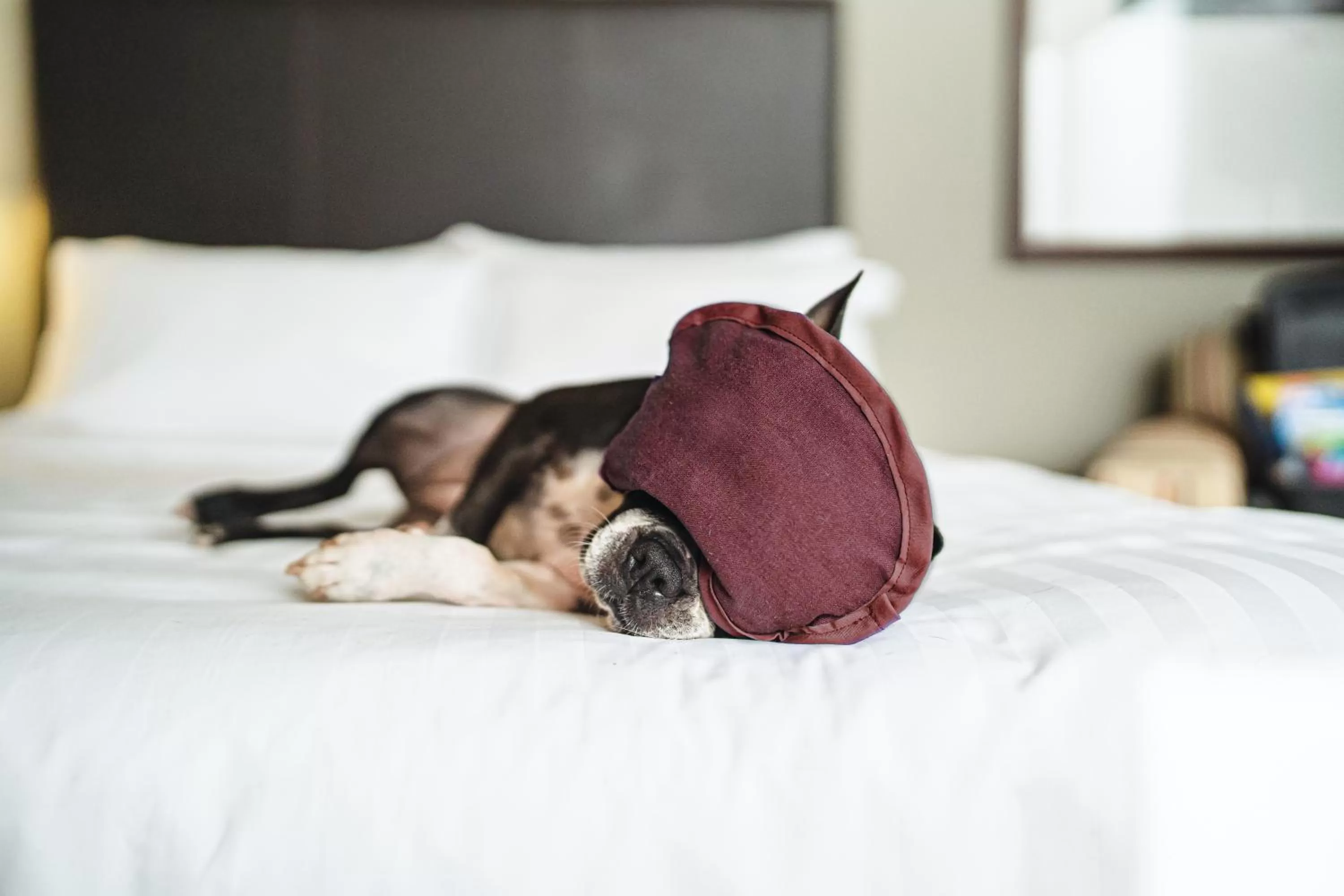 Bed in Santiago Marriott Hotel