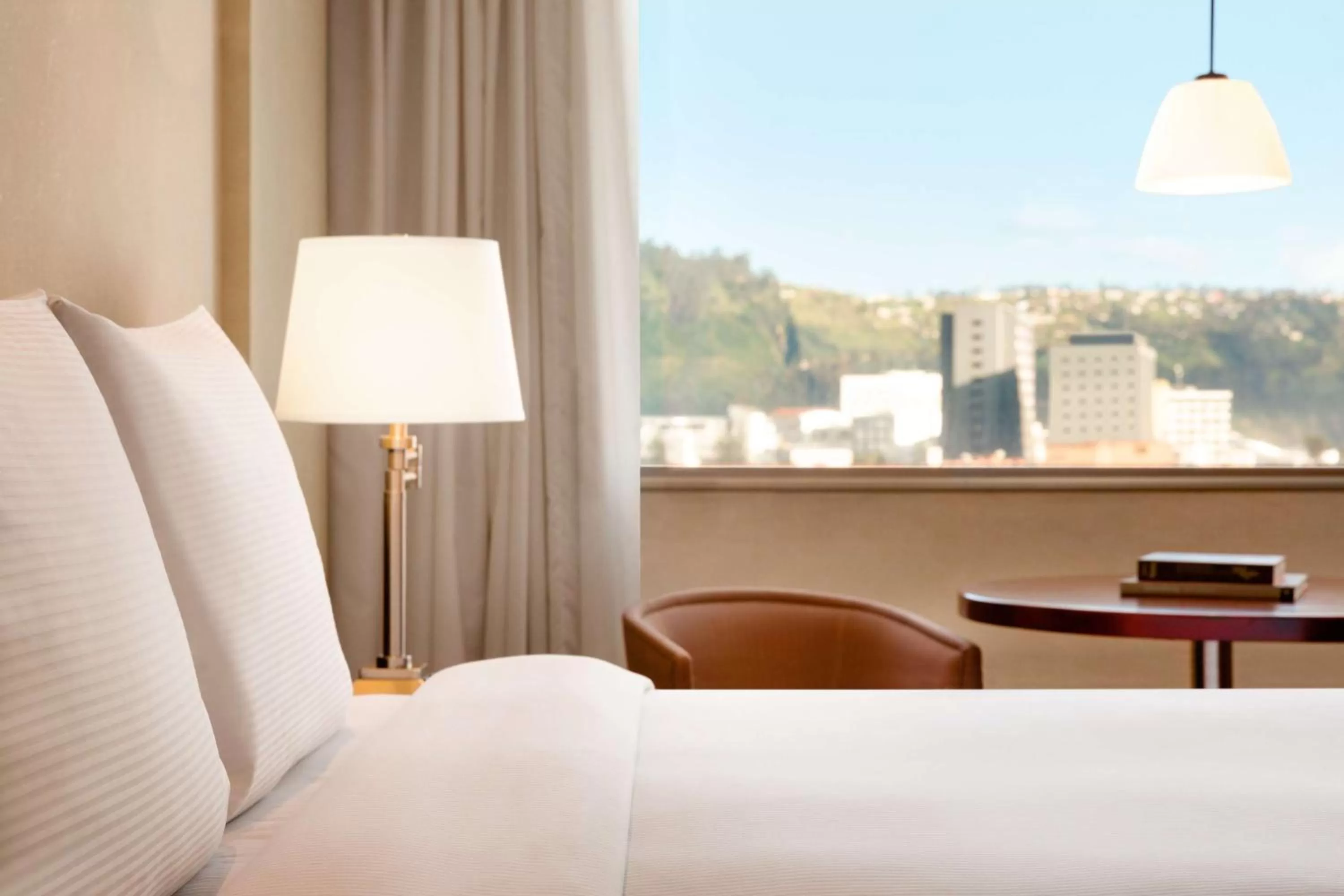 View (from property/room), Bed in Hilton Colon Quito Hotel