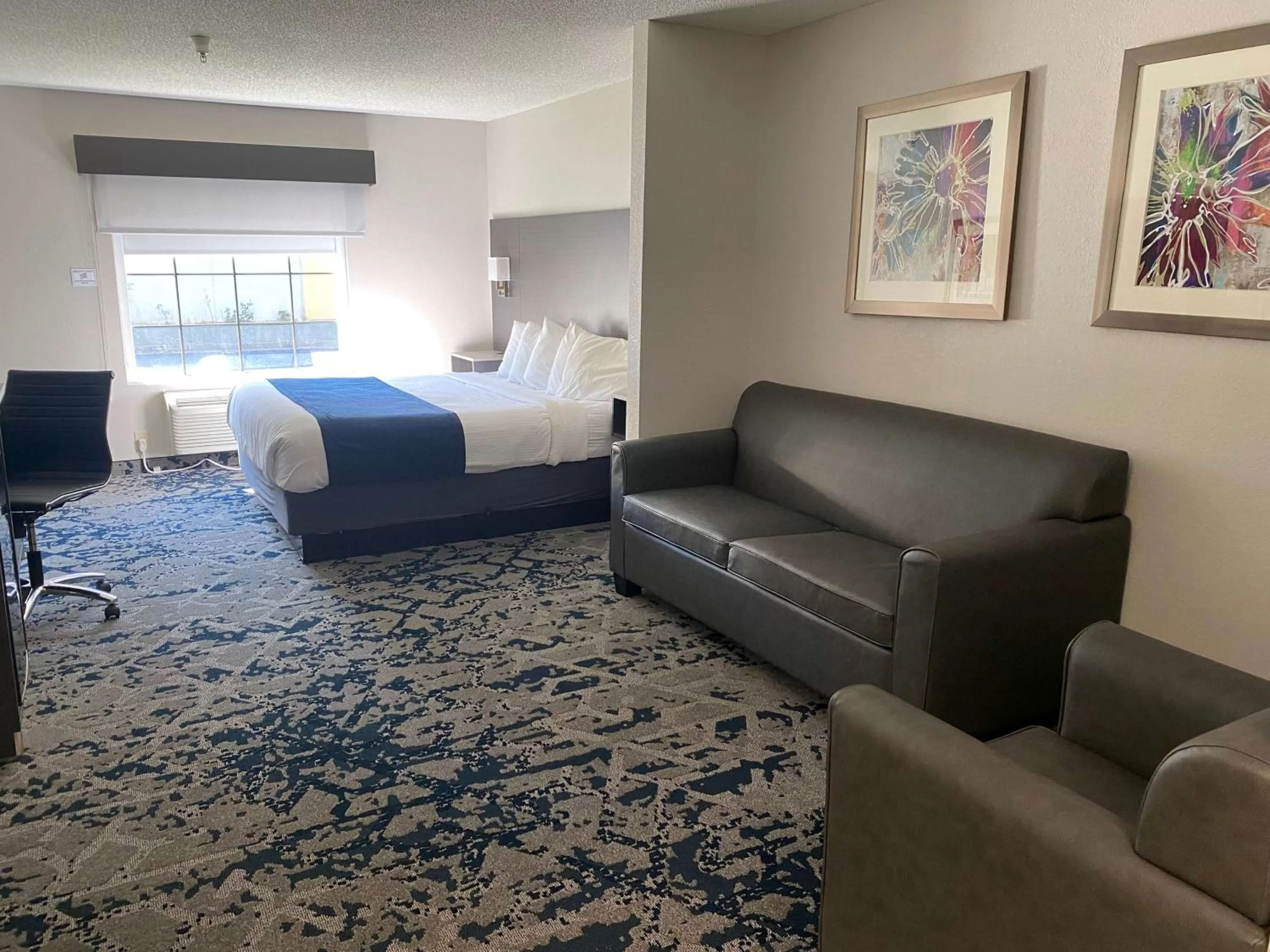 King Suite with Sofa Bed - Smoking in Best Western Allatoona Inn & Suites