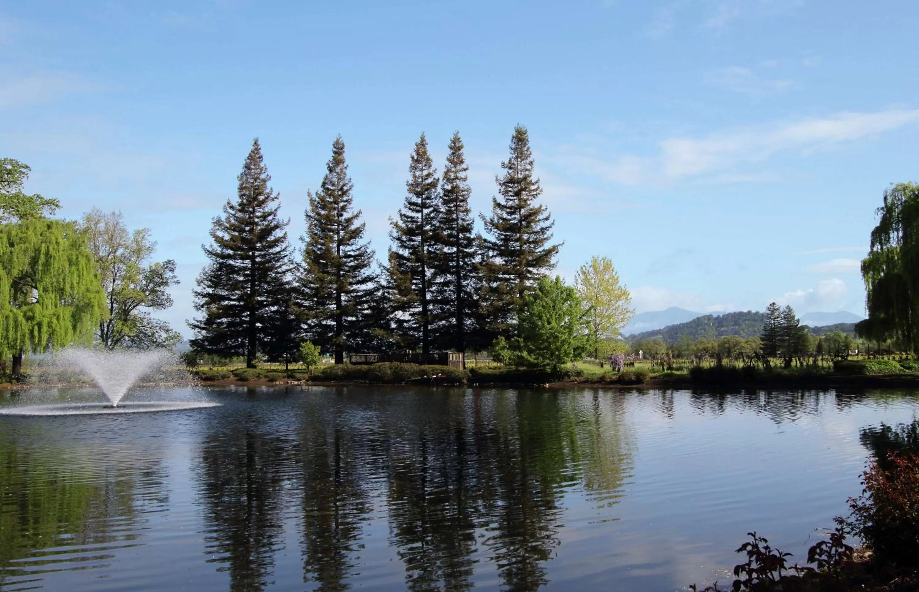 Sports in Hilton Garden Inn Sonoma County Airport