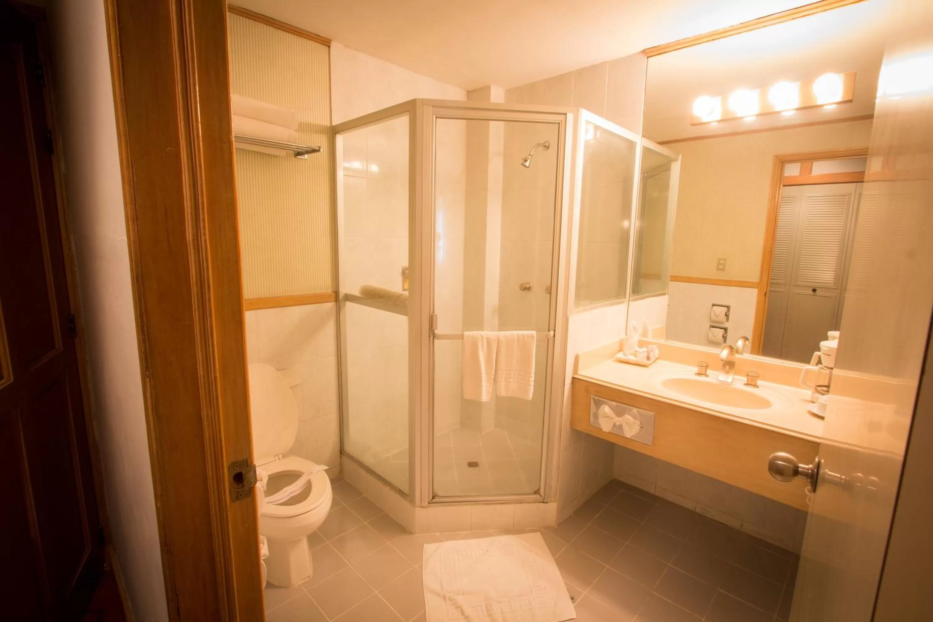 Shower in Best Western Plus Hotel Terraza