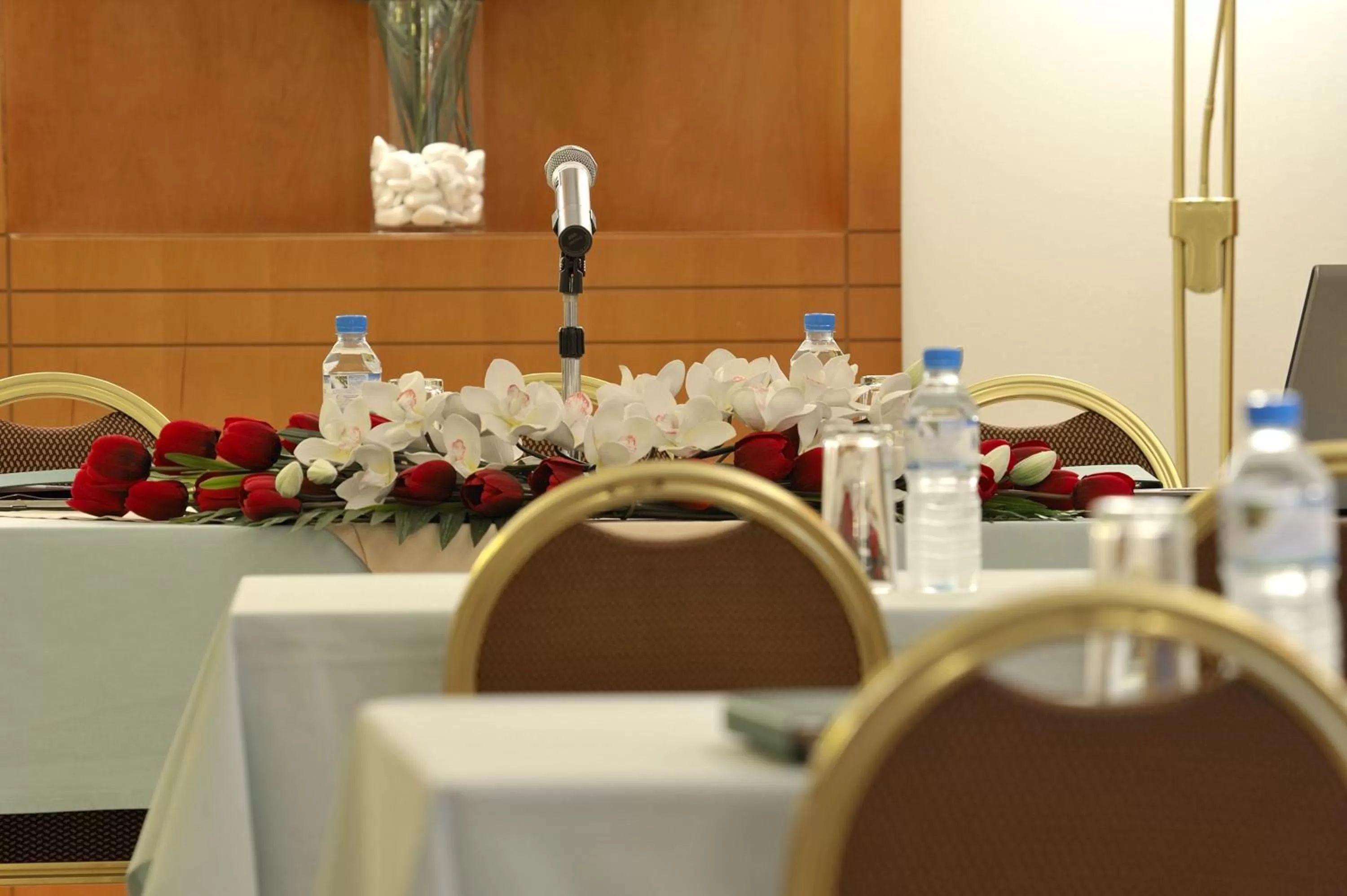 Business facilities in Esperia Hotel