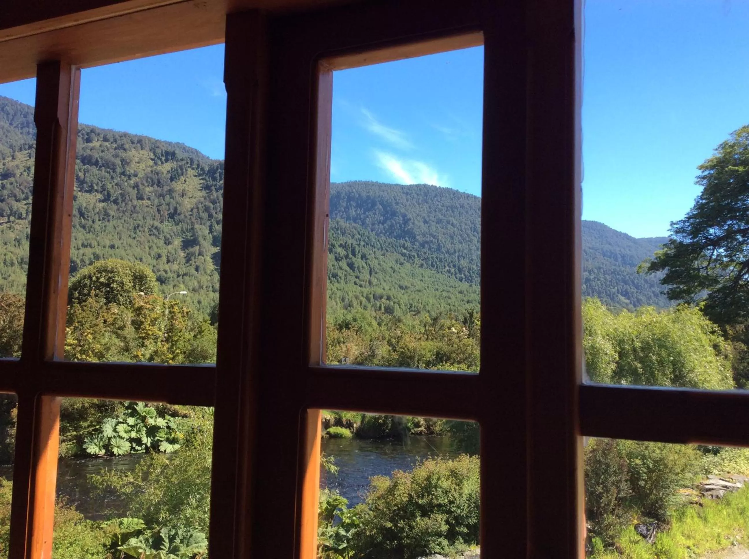 Spring in Los Mañíos Del Queulat Puyuhuapi