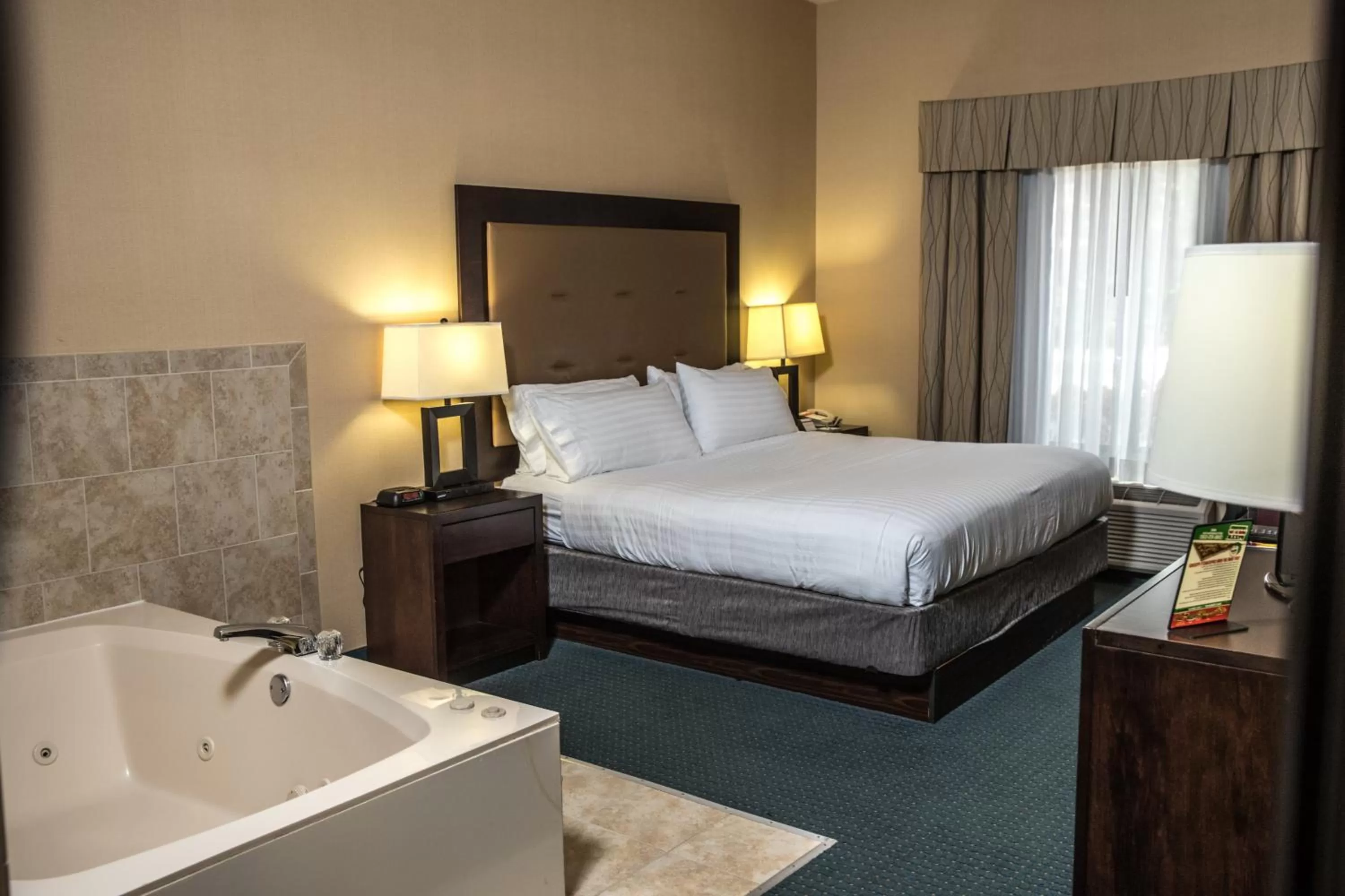 Deluxe King Room in Holiday Inn Express & Suites Detroit - Novi by IHG