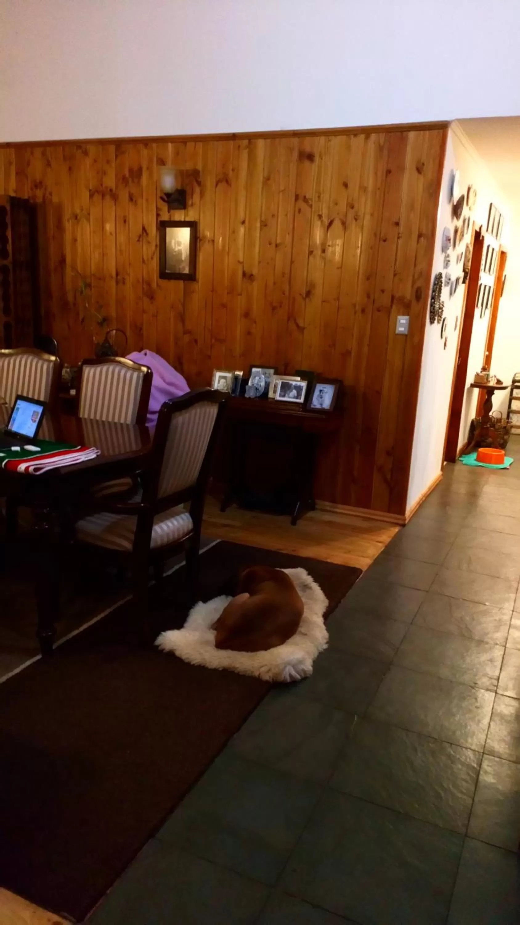 Hostal Parcela 47 villarrica