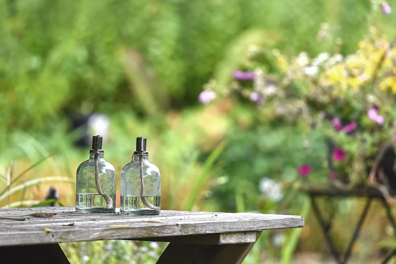 Garden view, Drinks in B&B Houtstee