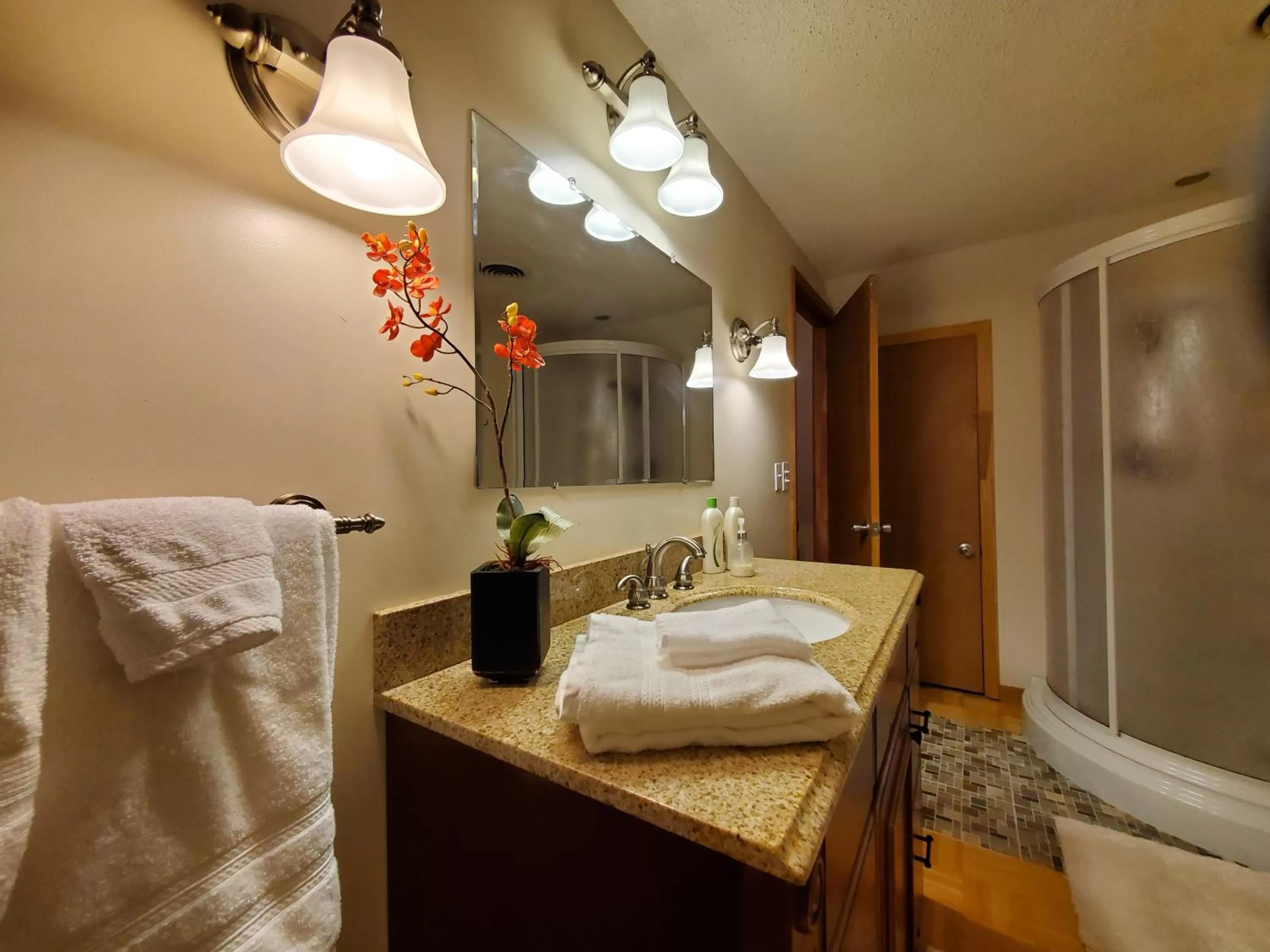 Blue Ridge Manor Bed and Breakfast