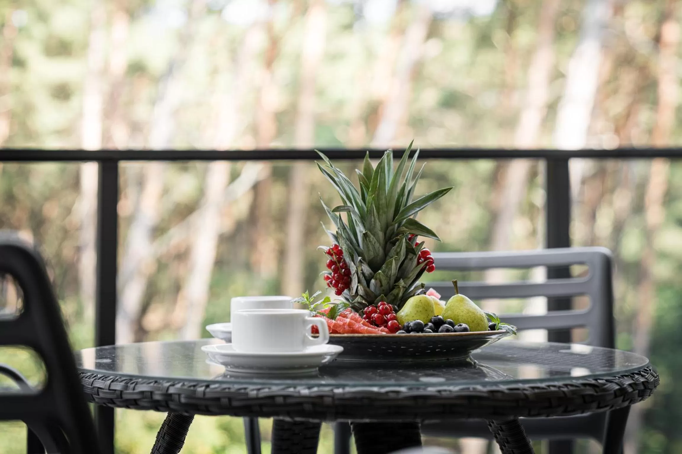 Garden view in Rezydencja Morski Tygiel