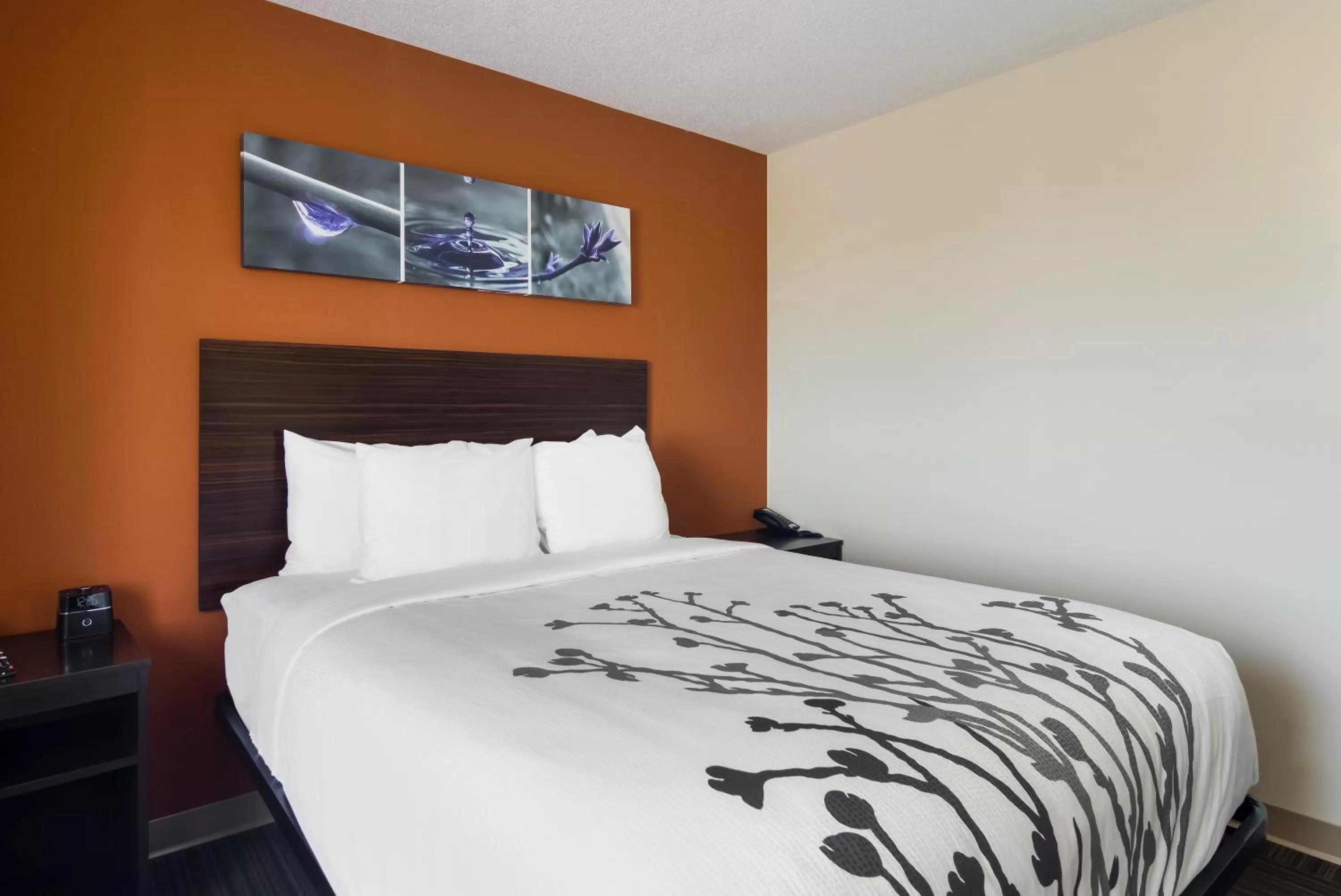 Bed in Sleep Inn Erie near Sports Center