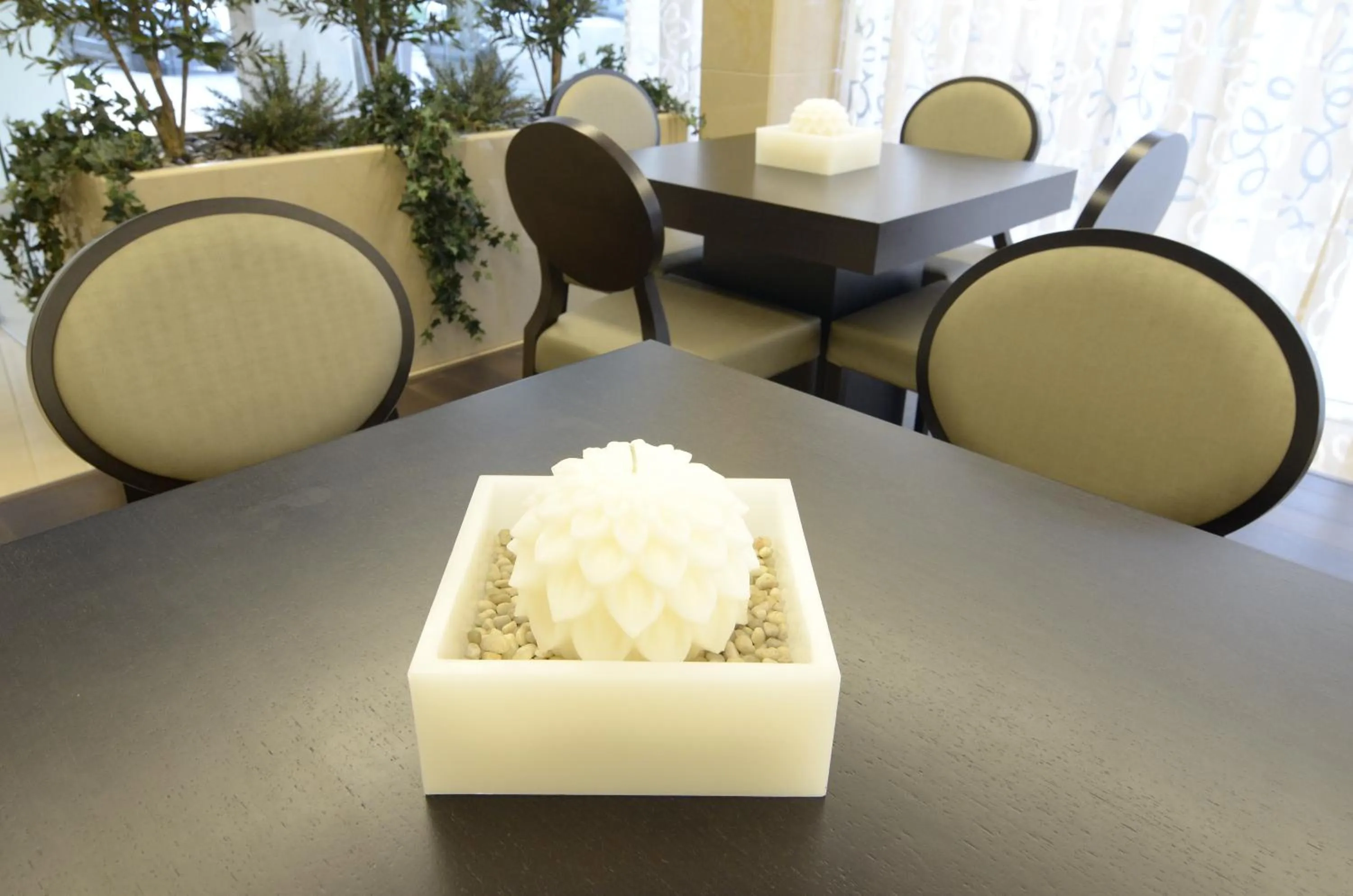 Lounge or bar in Hotel Cinquentenario & Conference Center