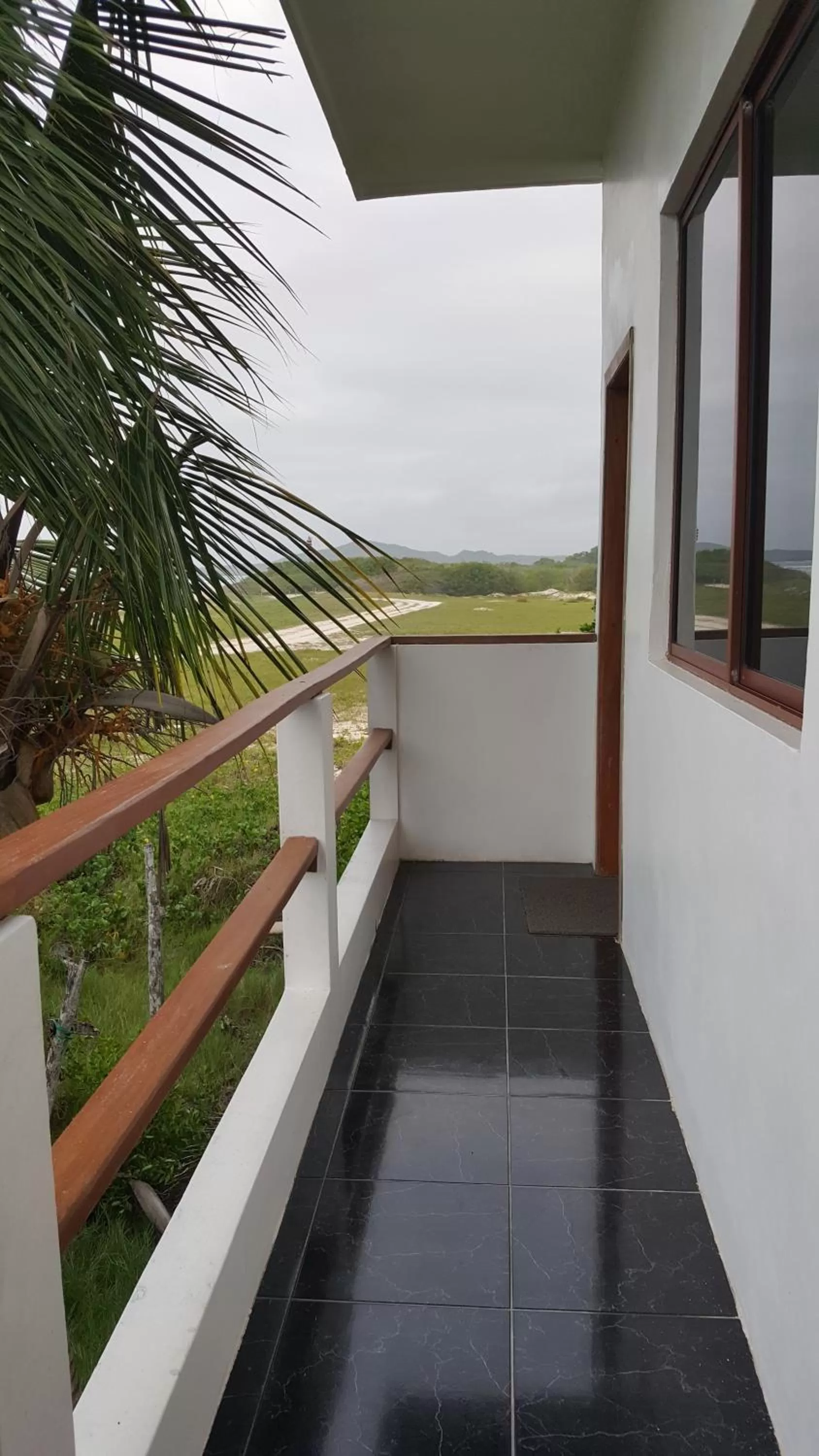 Balcony/Terrace in Hotel La Jungla