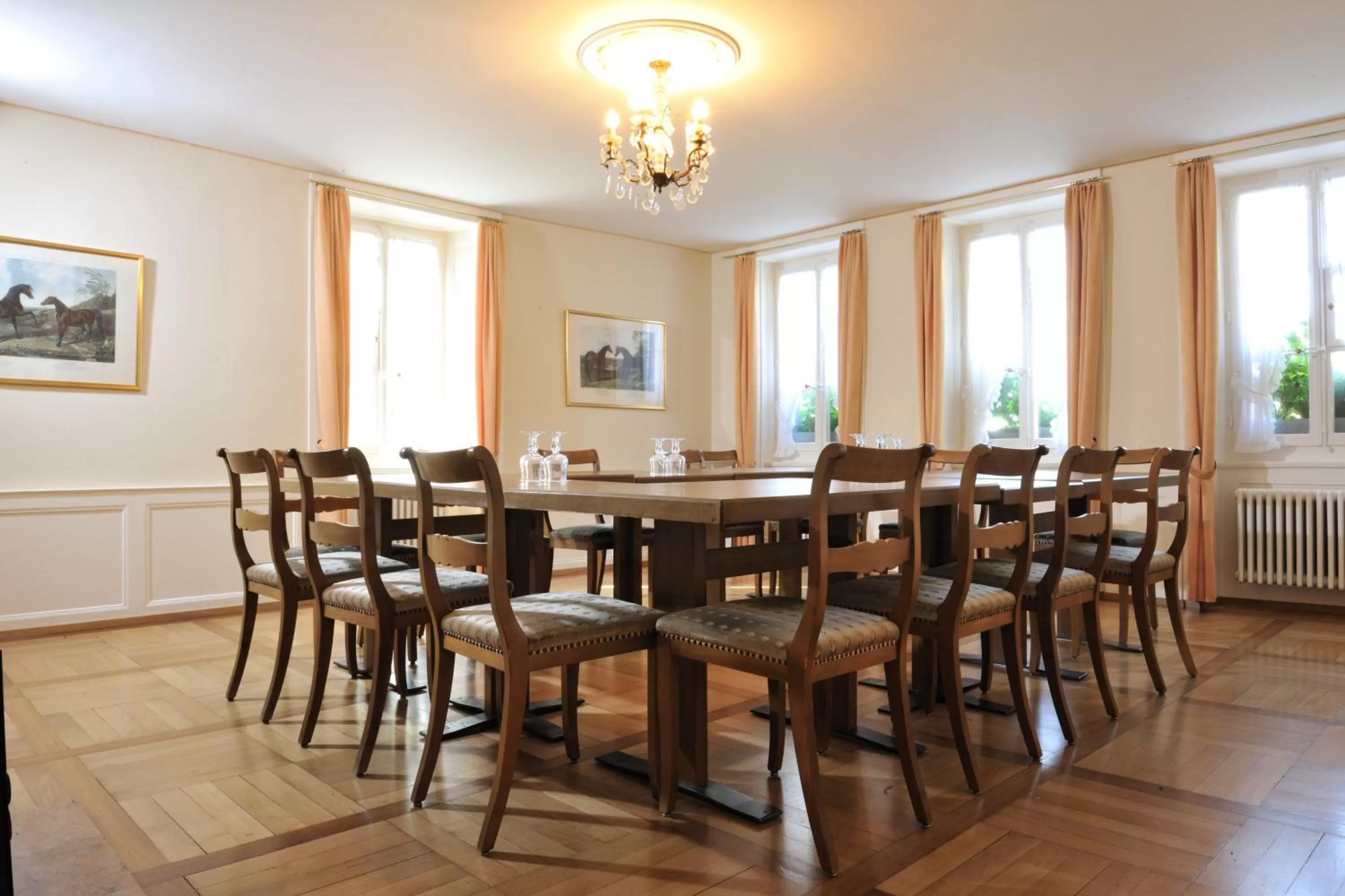 Business facilities in SEELANDHOTEL Weisses Kreuz