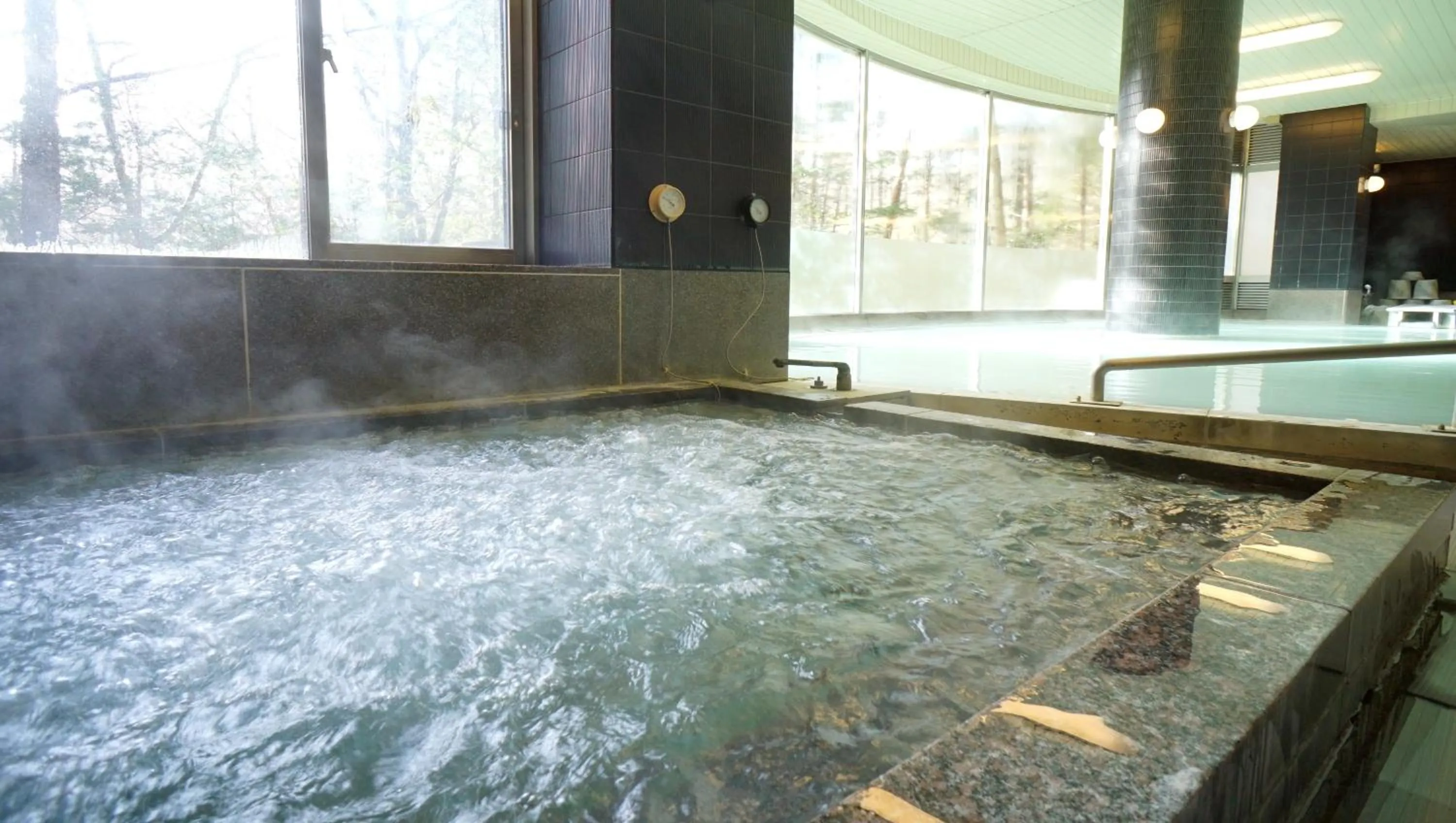 Hot Spring Bath in Hotel Laforet Nasu