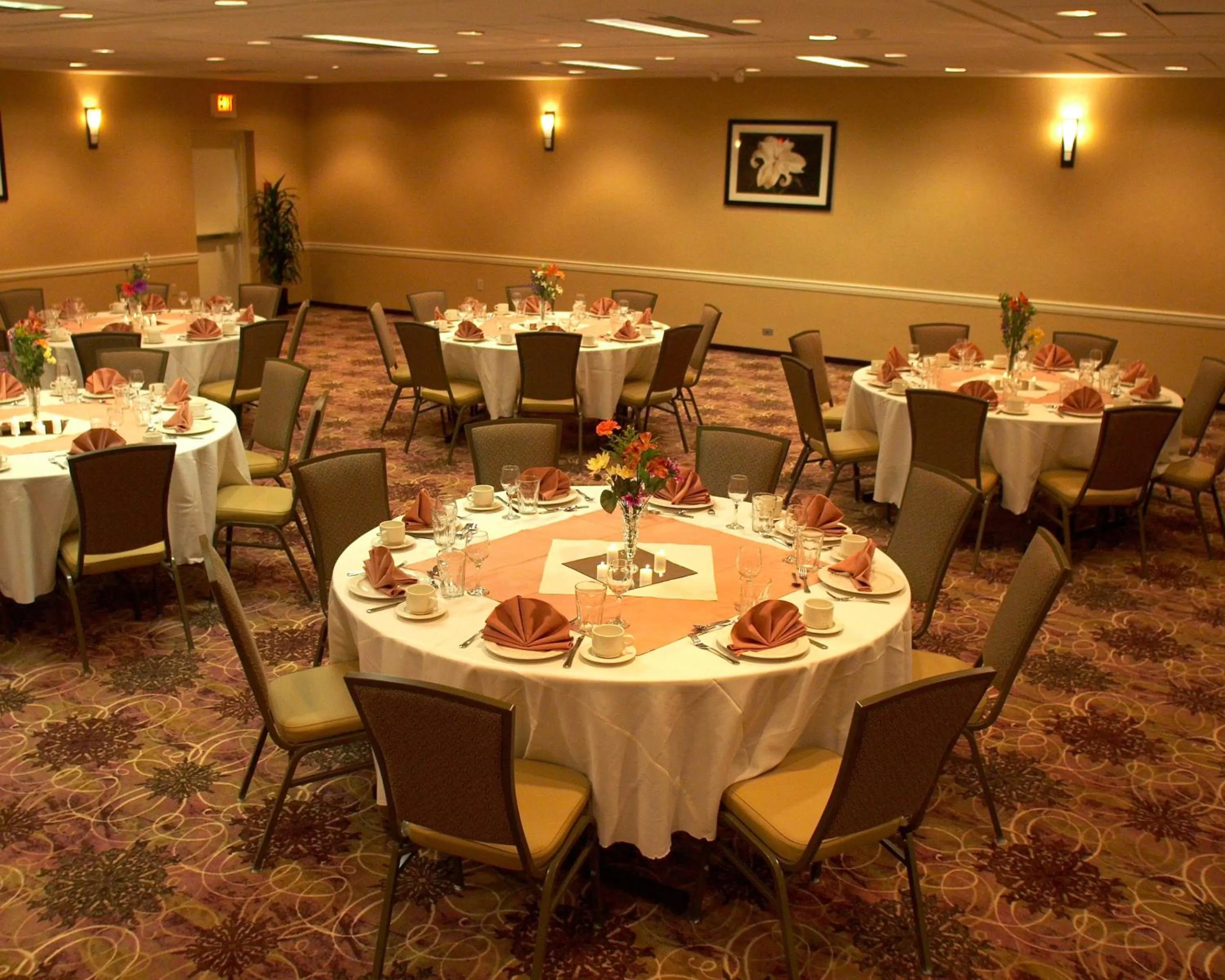 Banquet/Function facilities in Armoni Inn & Suites