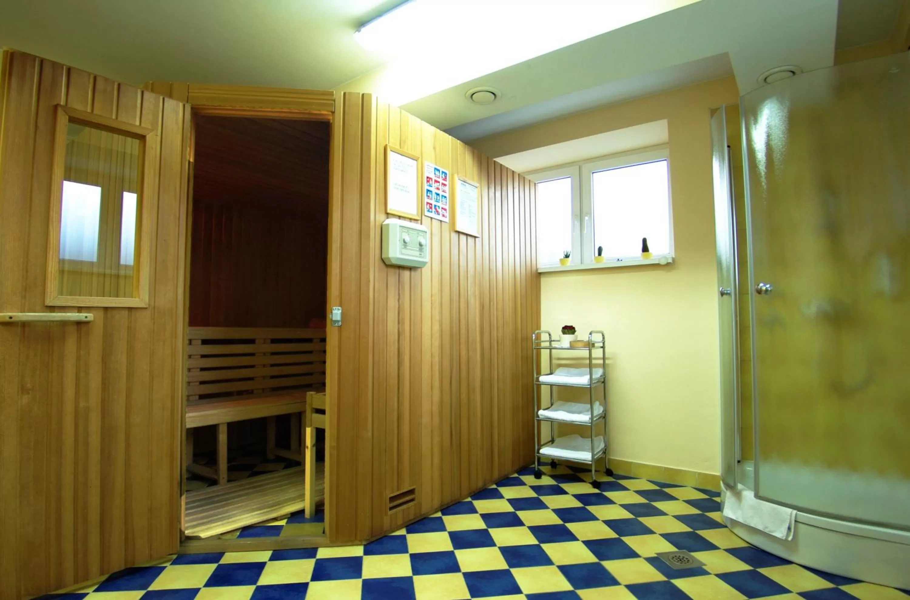 Spa and wellness centre/facilities in Hotel Europa