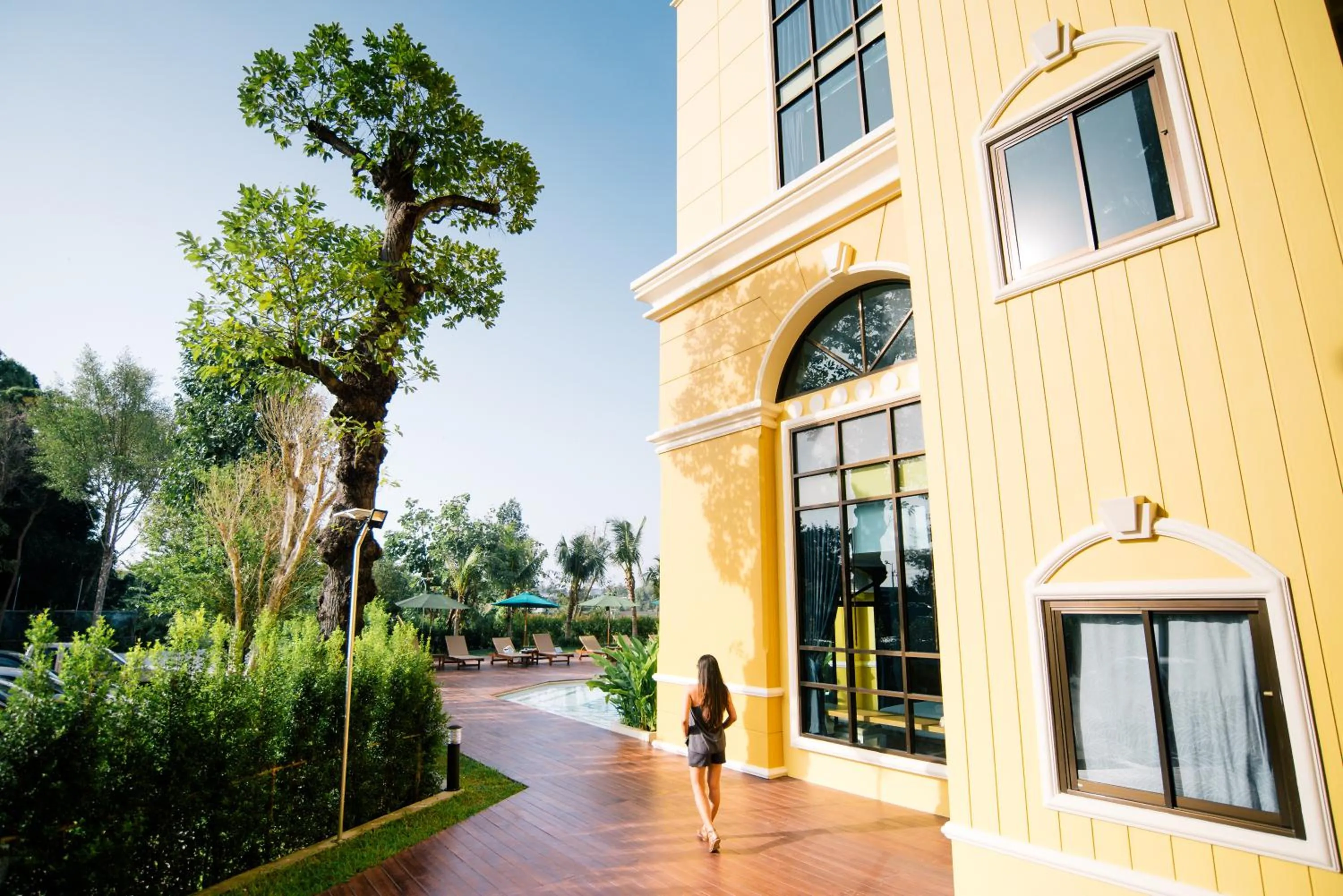 Garden view in The Pineapple Hotel