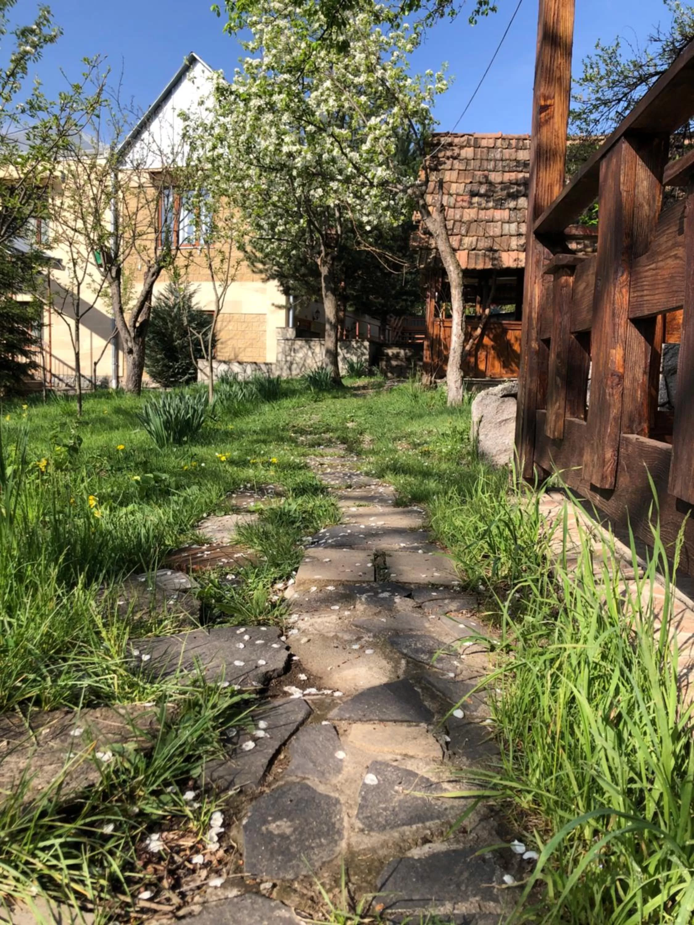 Property building in Dil Hill by Sam