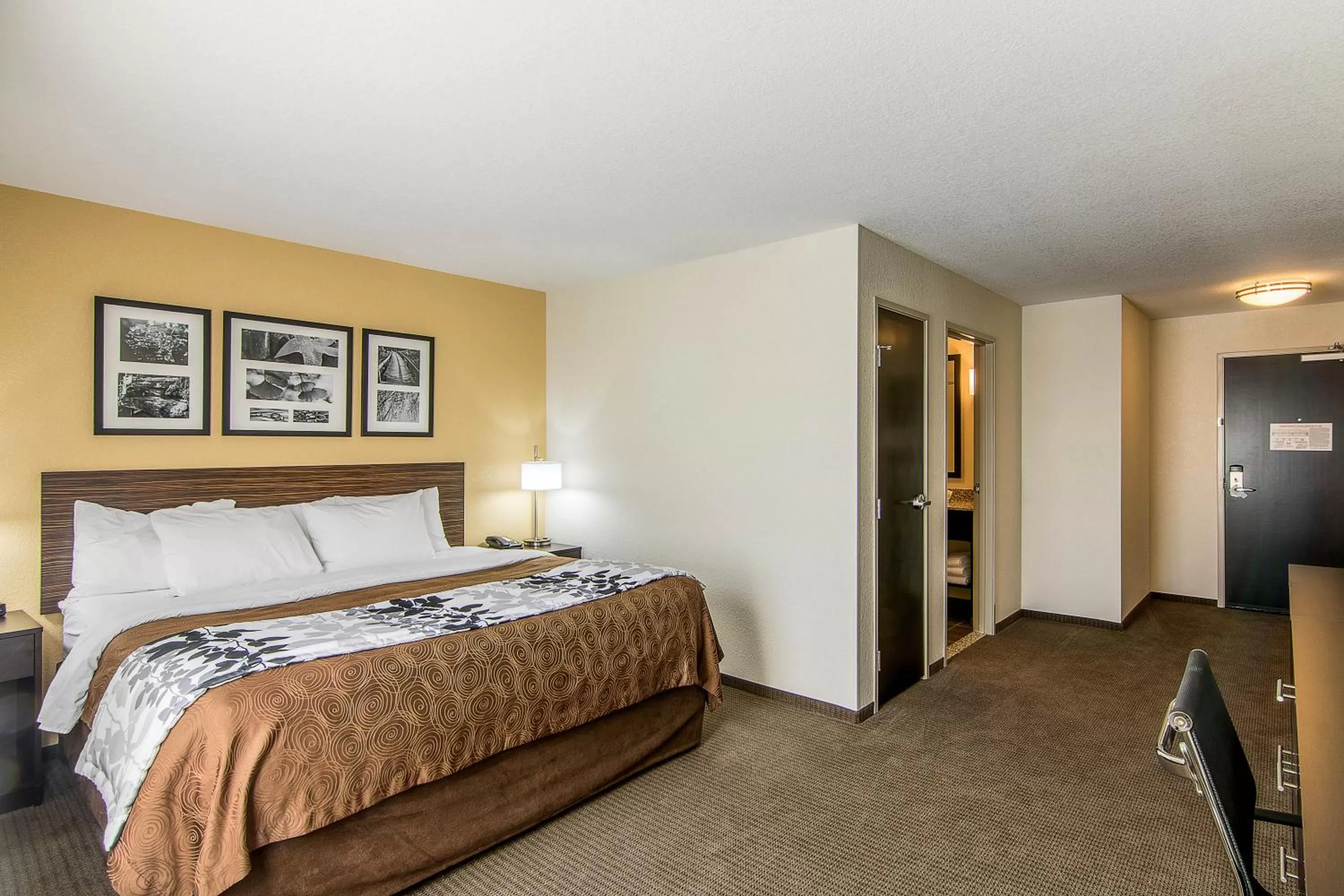 Bed in Sleep Inn & Suites West-Near Medical Center