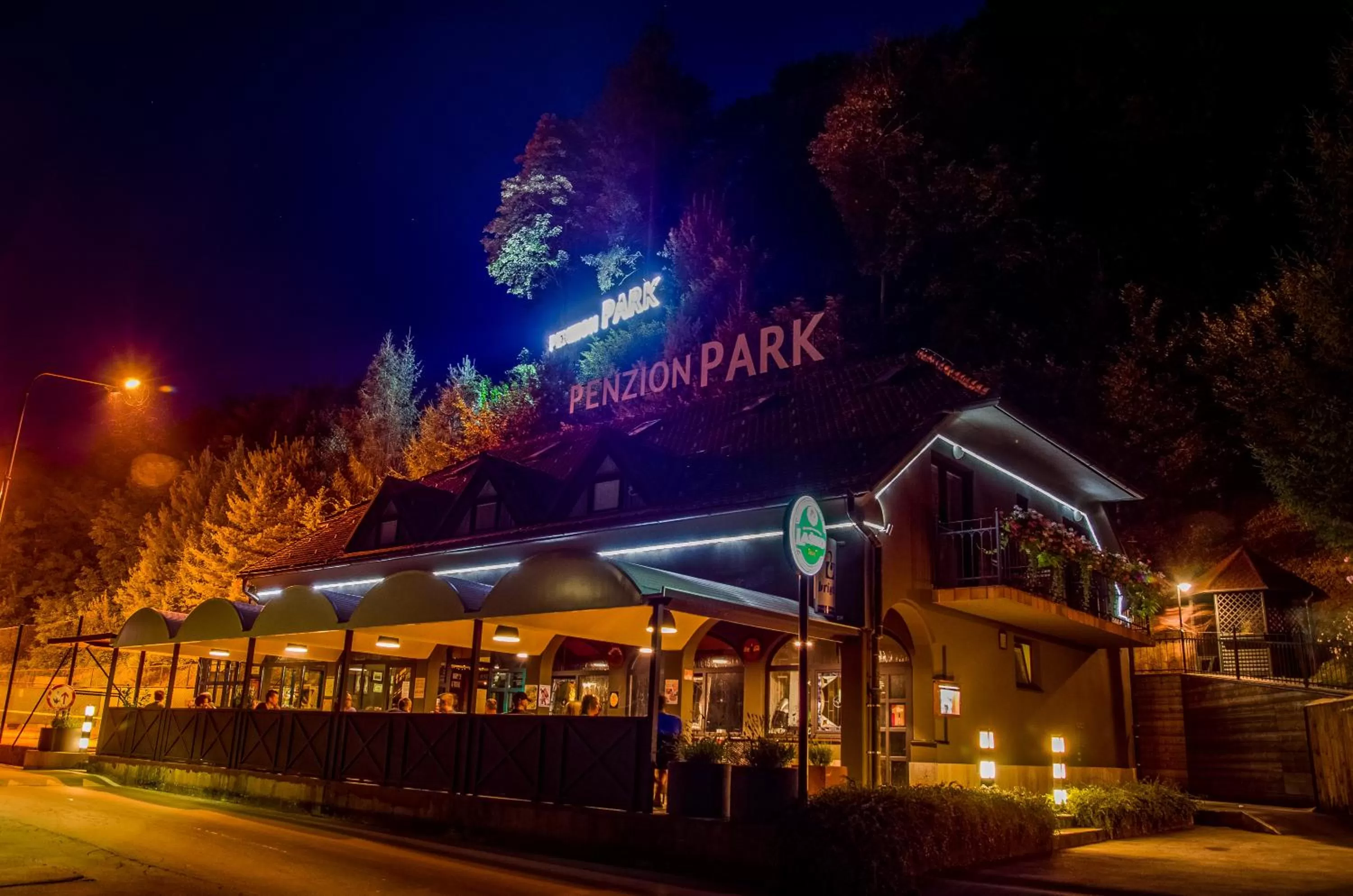 Night in Penzion Park