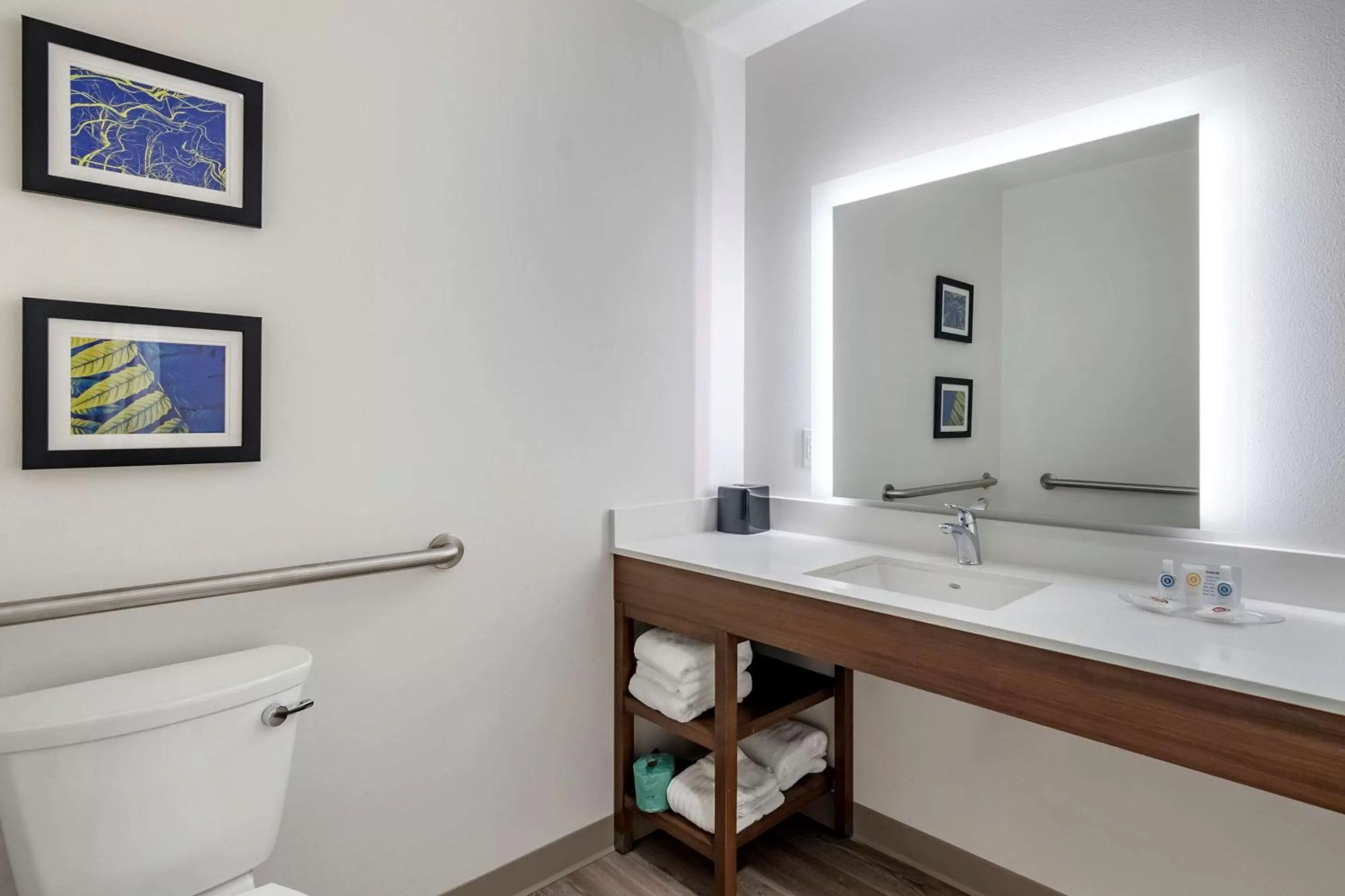 Photo of the whole room in Comfort Suites Grandview - Kansas City