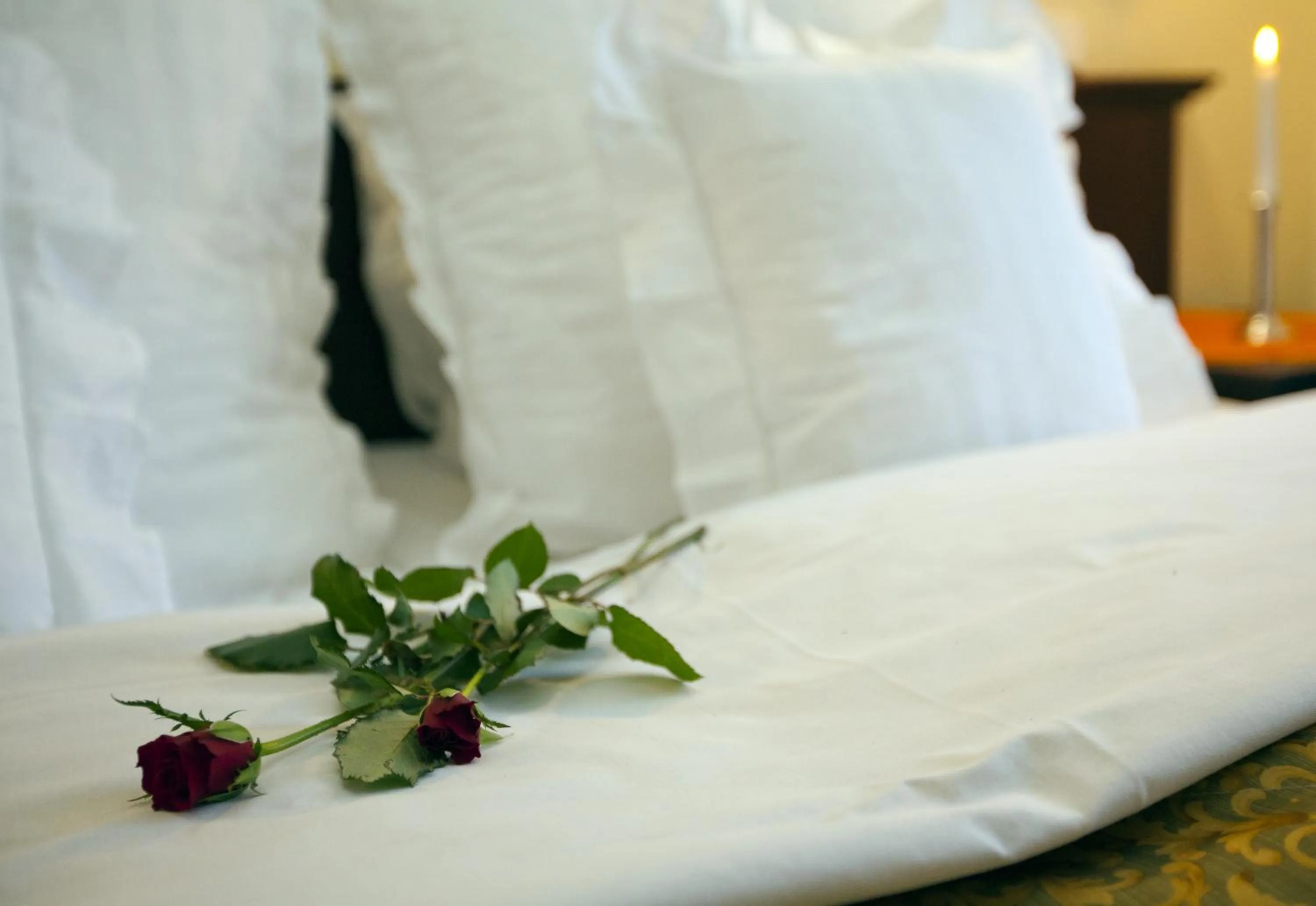 Single Room in Hotel Excelsior