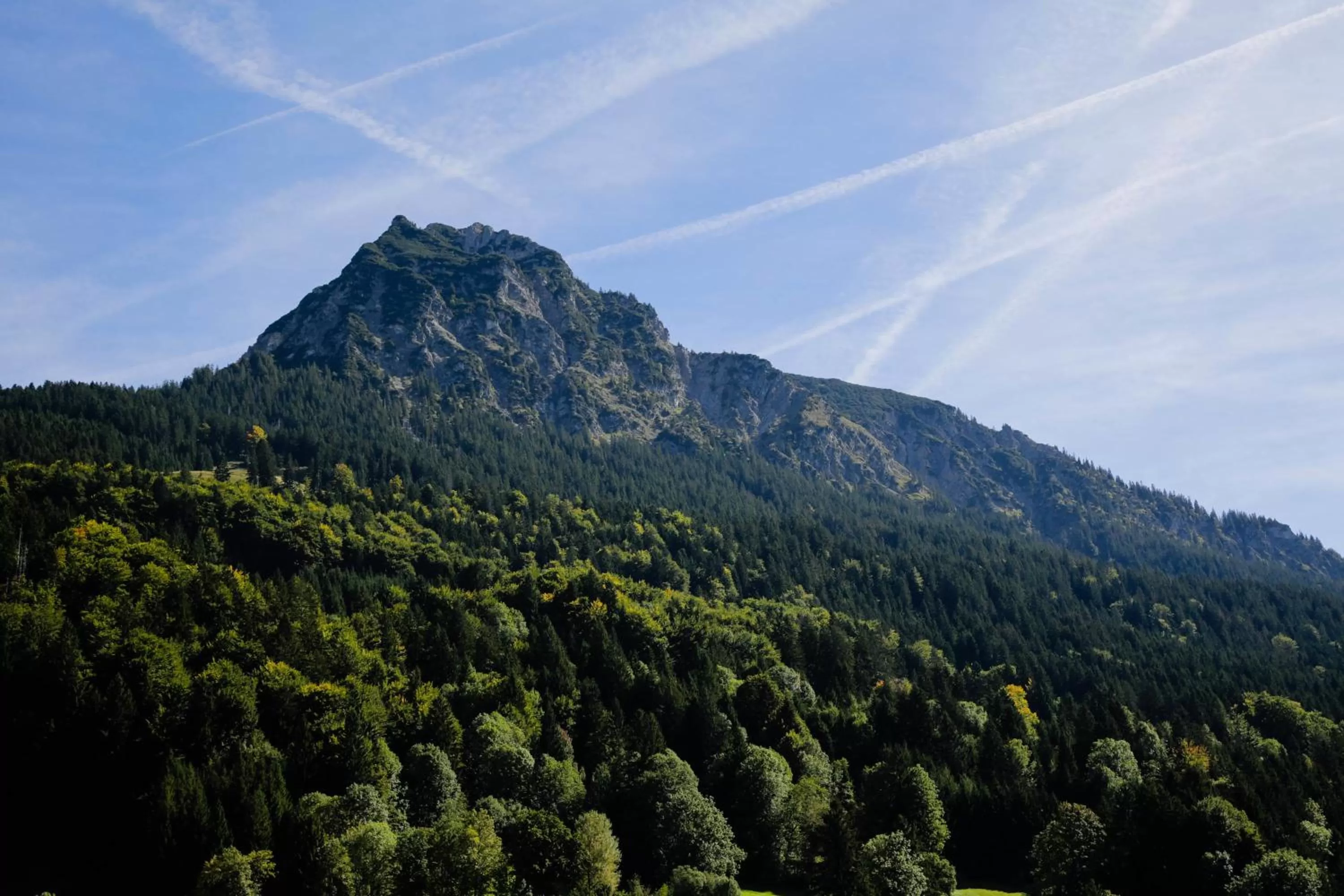 Mountain view in Familien- und Wellnesshotel "Viktoria"