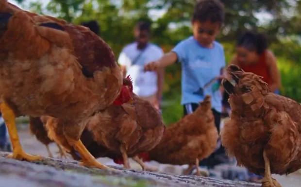 Day in Pousada Jovimar