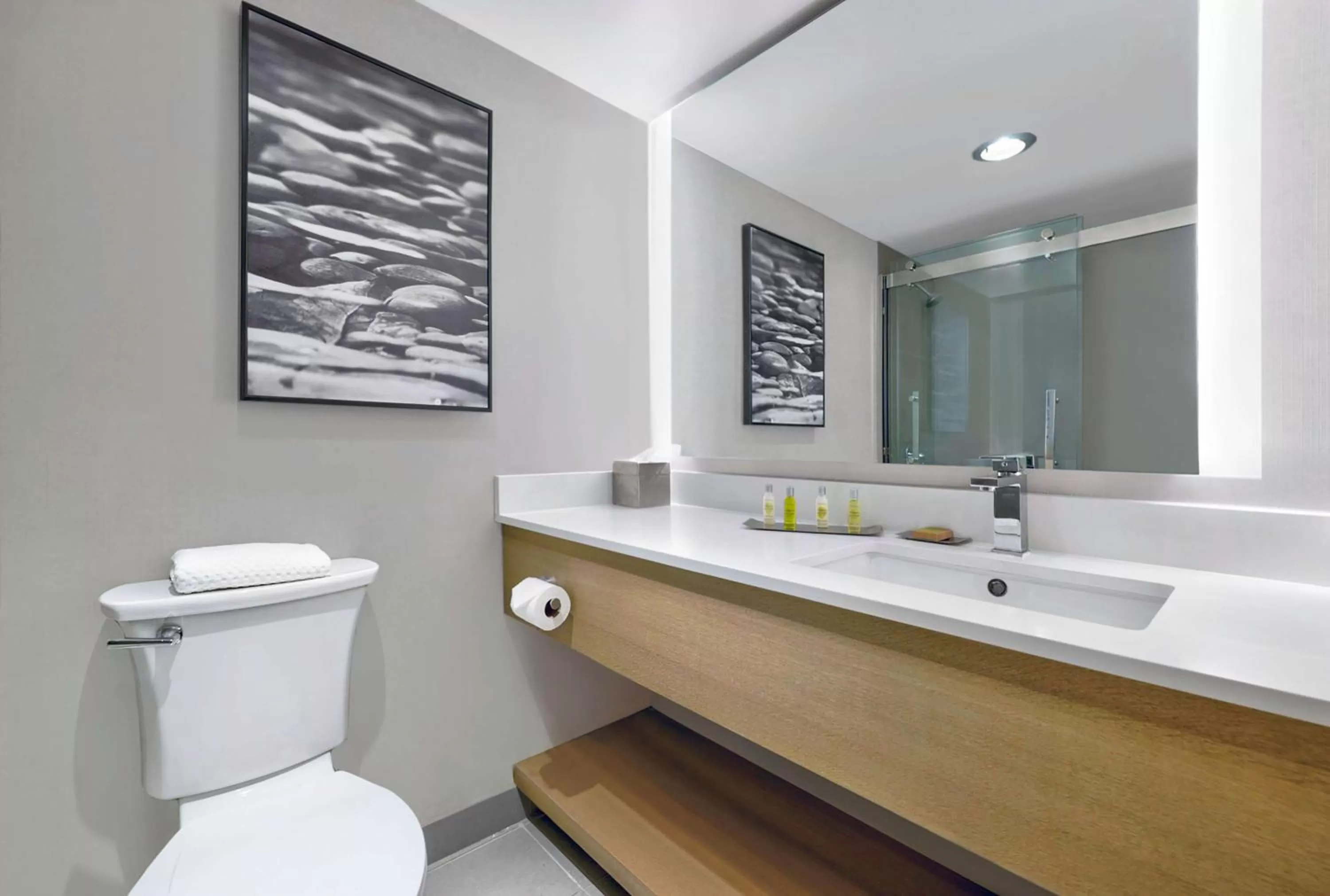 Toilet in DoubleTree by Hilton Davenport