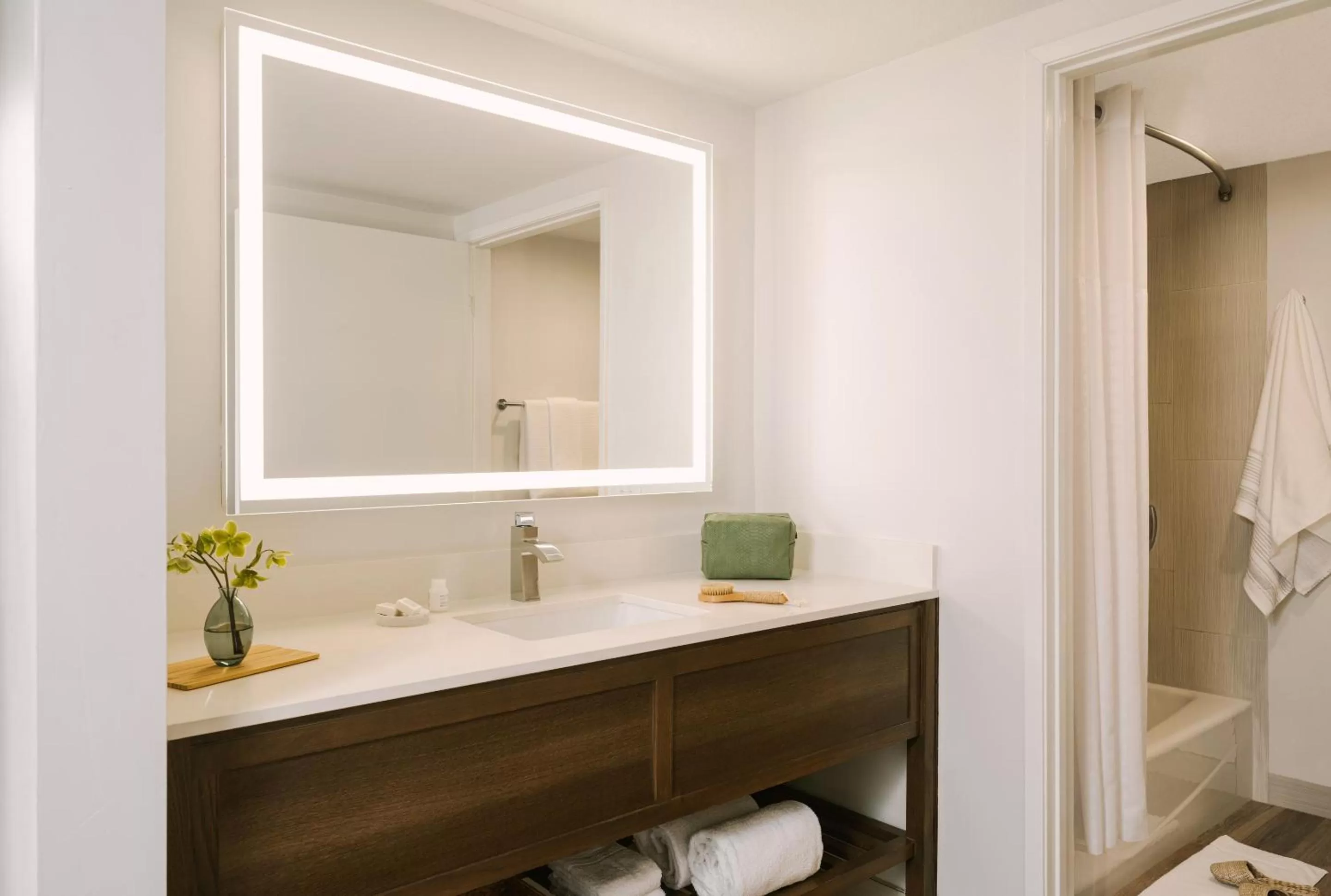 Living room, Bathroom in Sonder La Ensenada